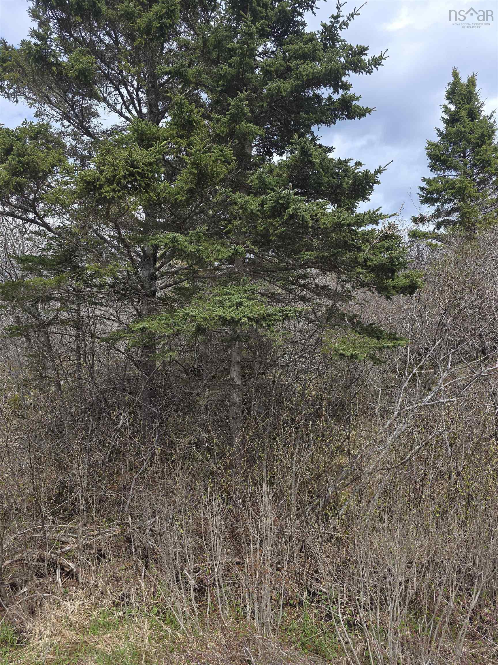 $22,500.00: nil Sandy Point Road, Lower Sandy Point