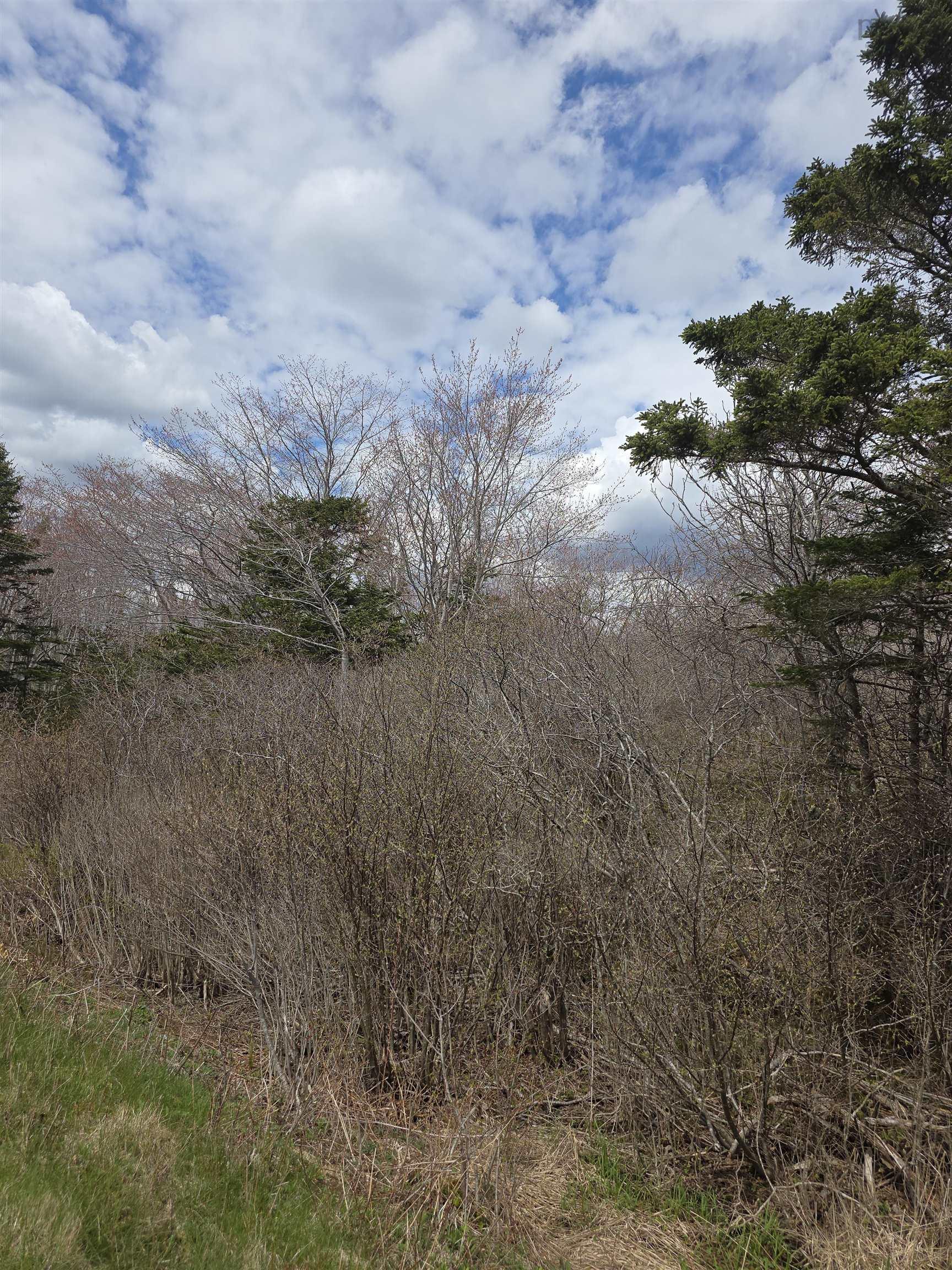 $22,500.00: nil Sandy Point Road, Lower Sandy Point