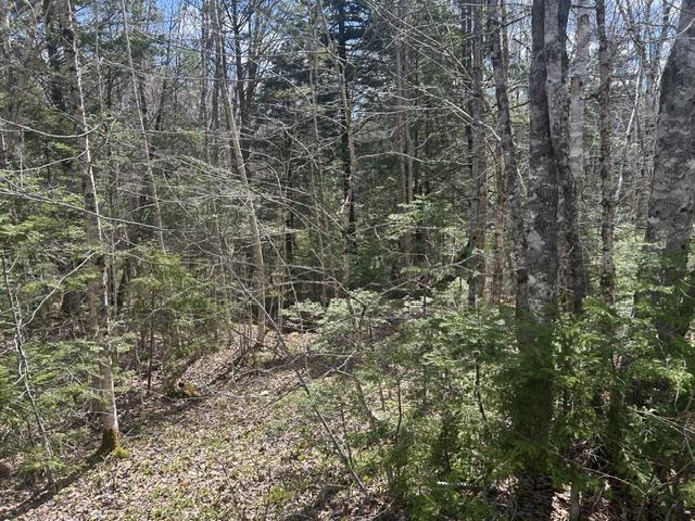 $45,000.00: Lot M65 Pine Hill Drive, Vaughan
