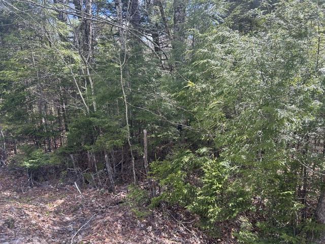 $45,000.00: Lot M65 Pine Hill Drive, Vaughan