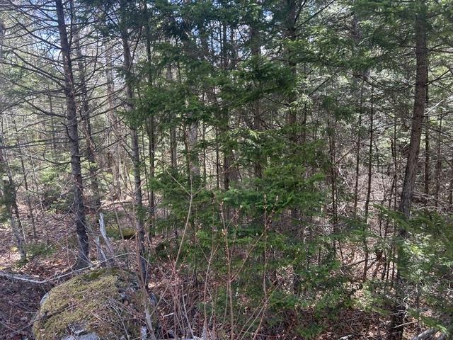 $45,000.00: Lot M65 Pine Hill Drive, Vaughan