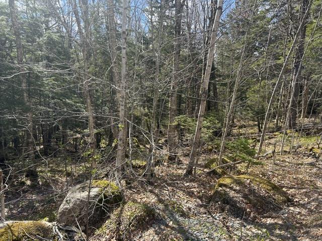 $45,000.00: Lot M65 Pine Hill Drive, Vaughan