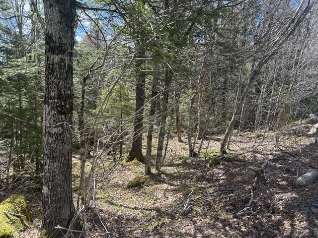 $45,000.00: Lot M65 Pine Hill Drive, Vaughan