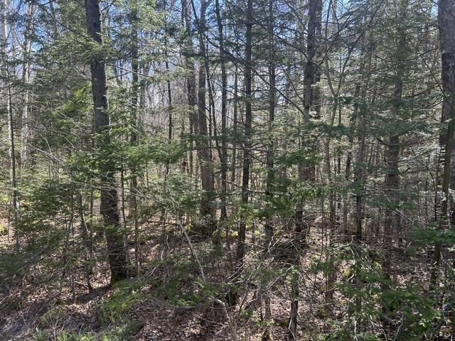 $45,000.00: Lot M65 Pine Hill Drive, Vaughan