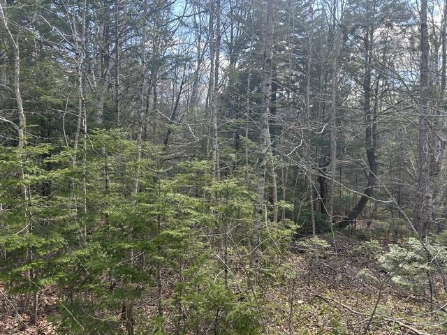 $45,000.00: Lot M65 Pine Hill Drive, Vaughan
