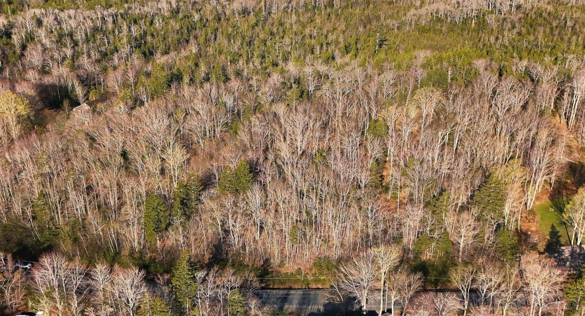 $45,000.00: Lot 1&2, Mood Road, Summerville