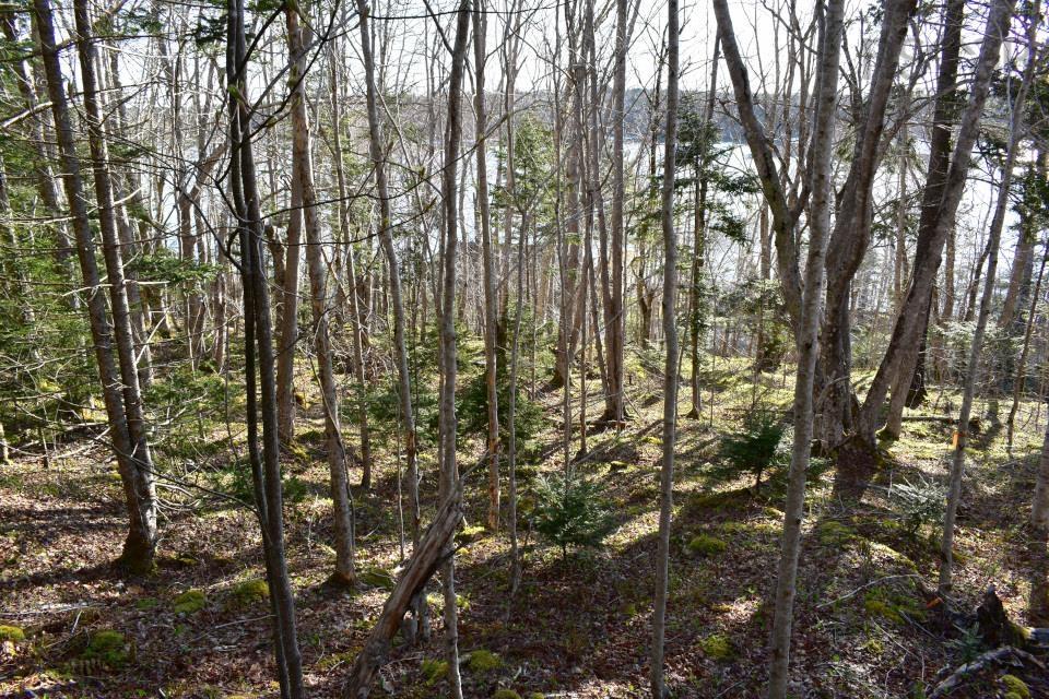$45,000.00: Lot 1&2, Mood Road, Summerville