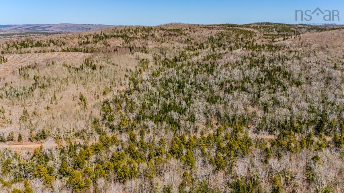 $45,000.00: Lots BARNEYS RIVER EAST SIDE Road, Kenzieville