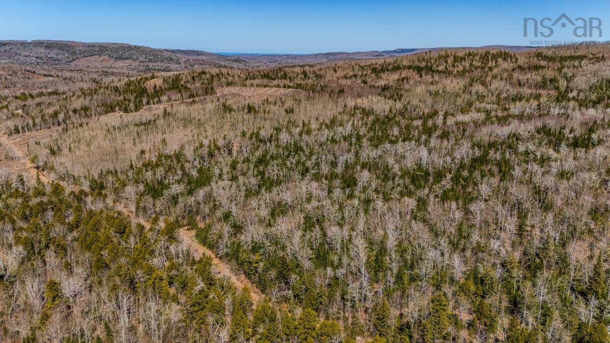 $45,000.00: Lots BARNEYS RIVER EAST SIDE Road, Kenzieville