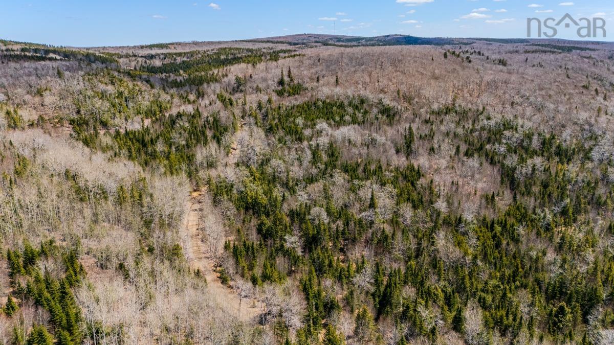 $45,000.00: Lots BARNEYS RIVER EAST SIDE Road, Kenzieville