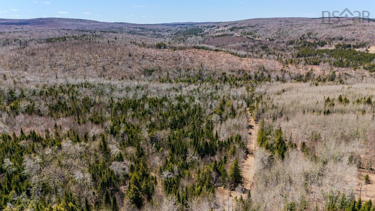 $45,000.00: Lots BARNEYS RIVER EAST SIDE Road, Kenzieville