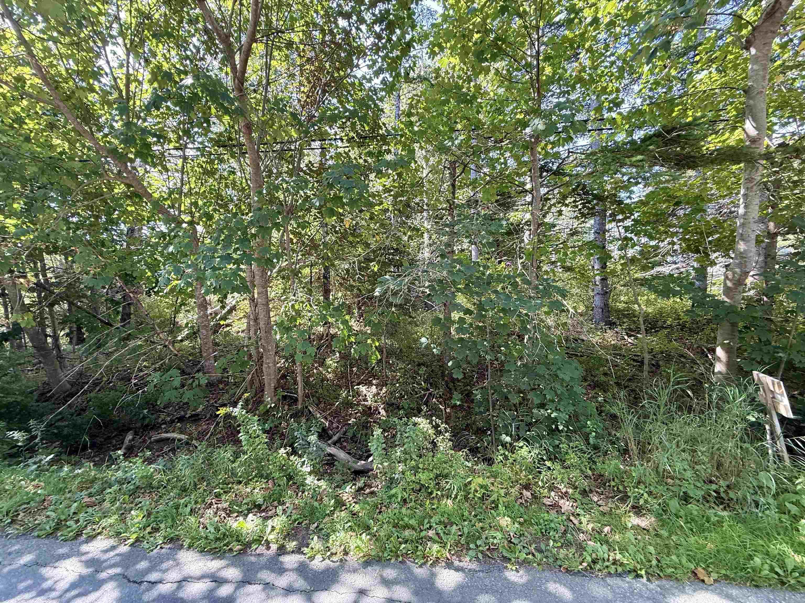 $115,000.00: Lot 2 Green Bay Road, Green Bay
