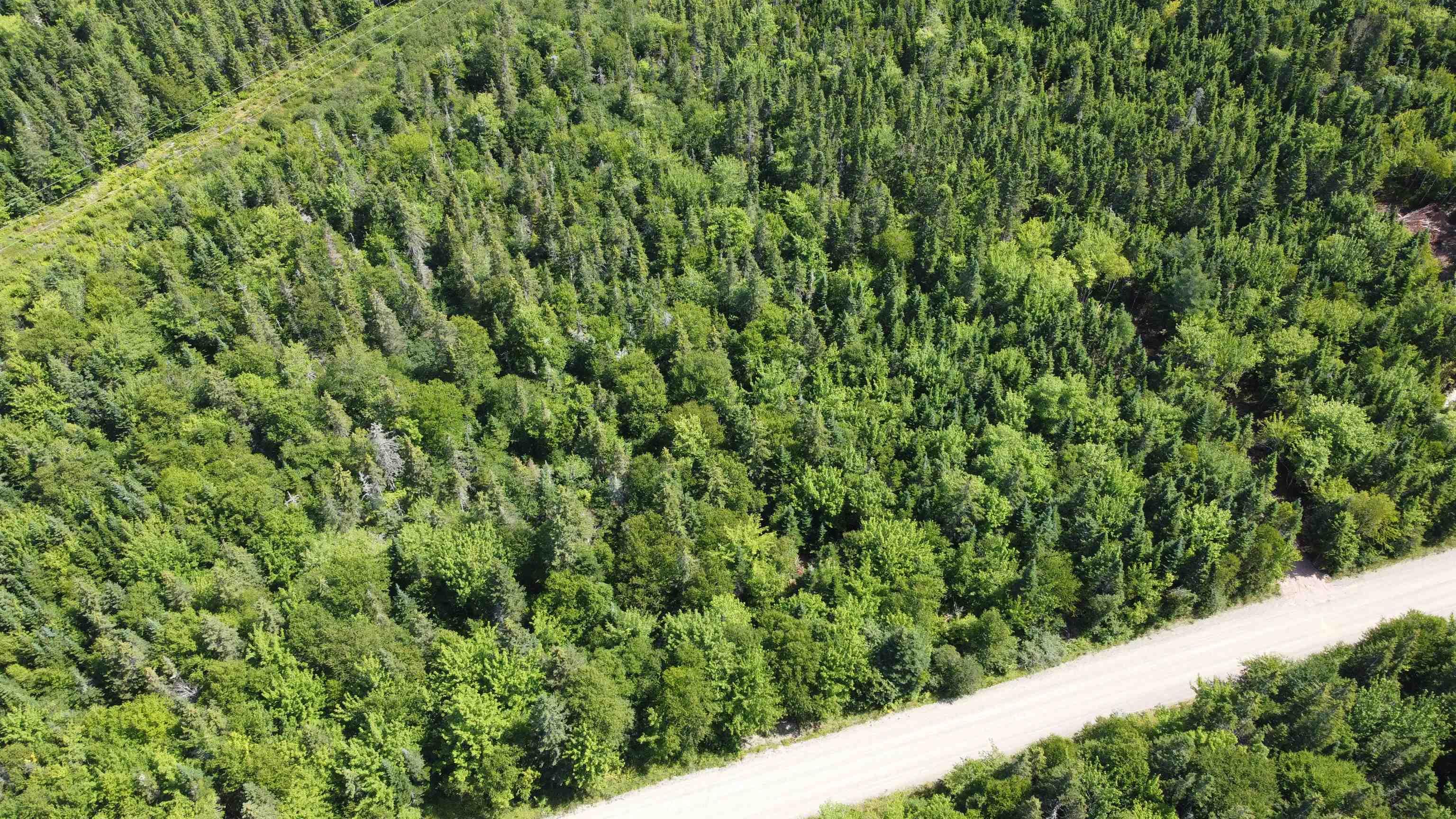 $39,000.00: Lot 3 Calabash Road, Boularderie East