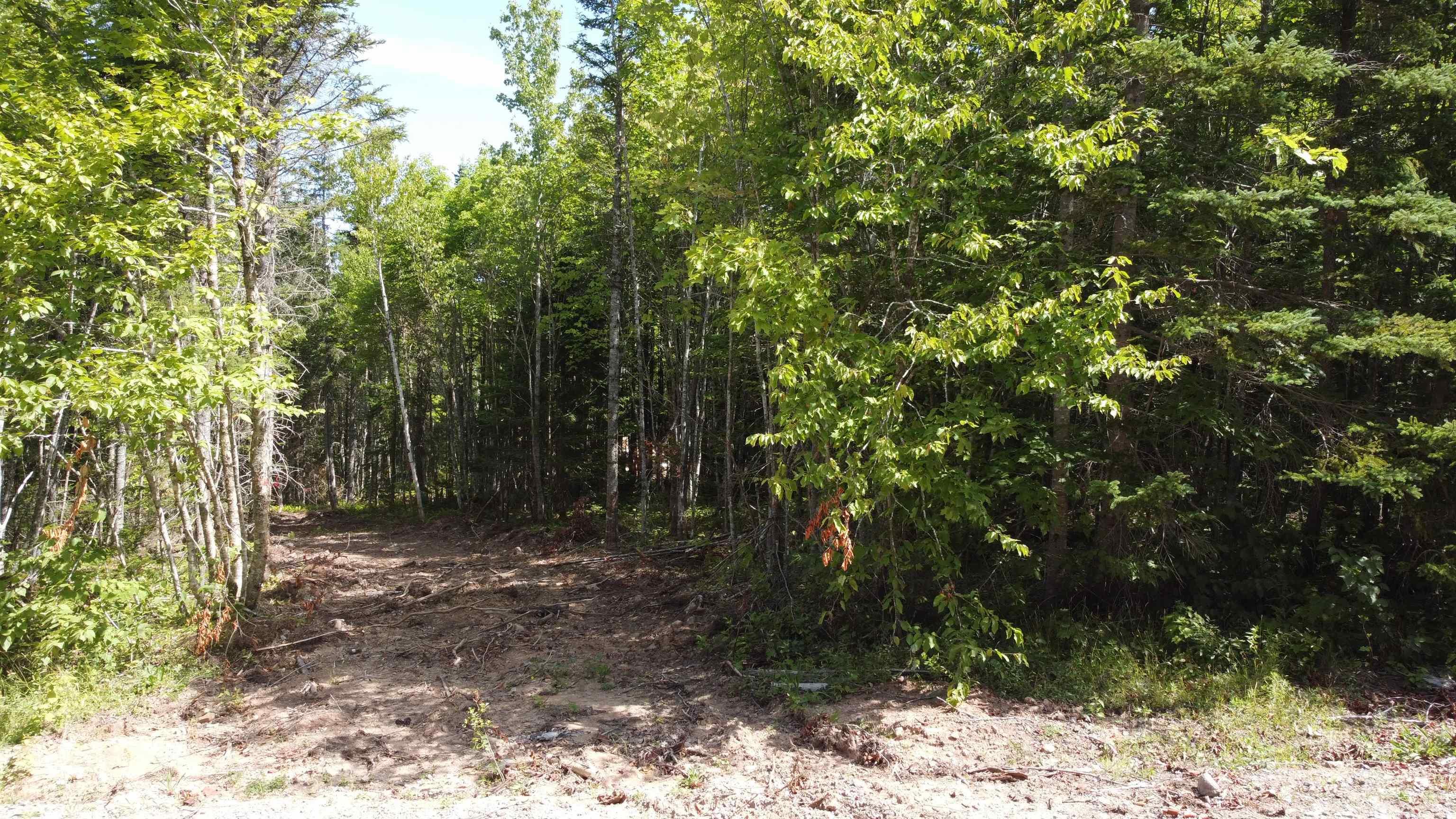 $39,000.00: Lot 5 Calabash Road, Boularderie East