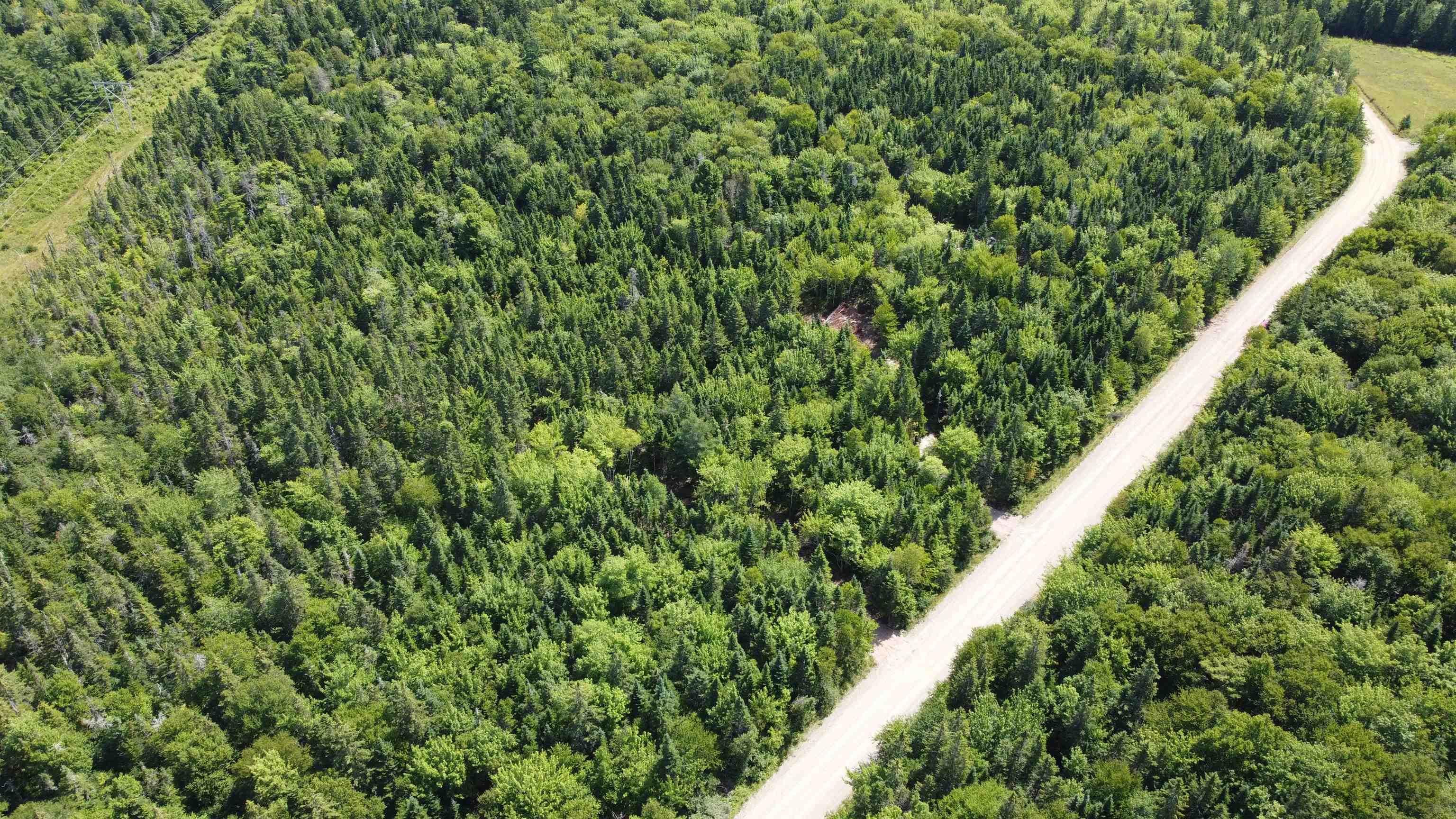 $39,000.00: Lot 7 Calabash Road, Boularderie East
