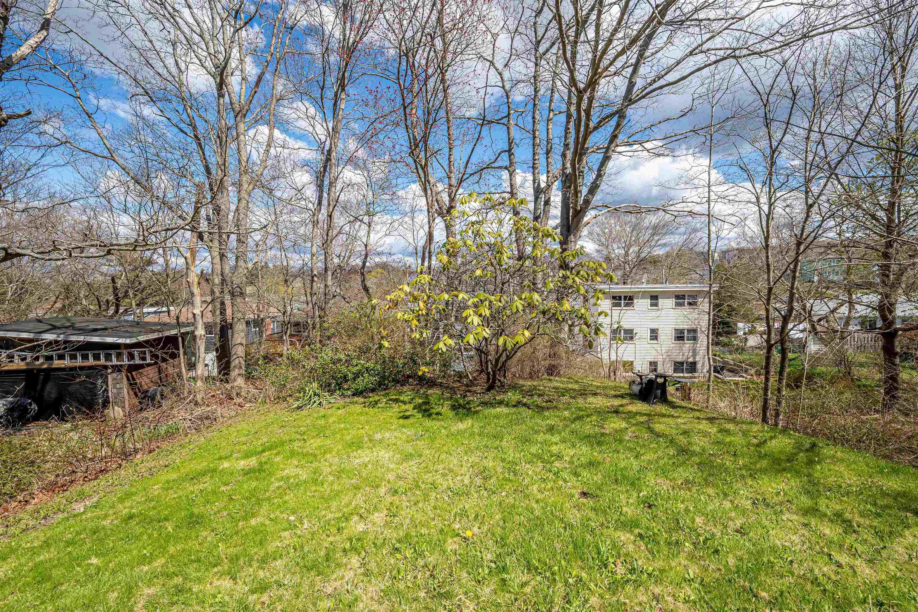 241 Johnstone Avenue, Dartmouth, NS (MLS 202610782)