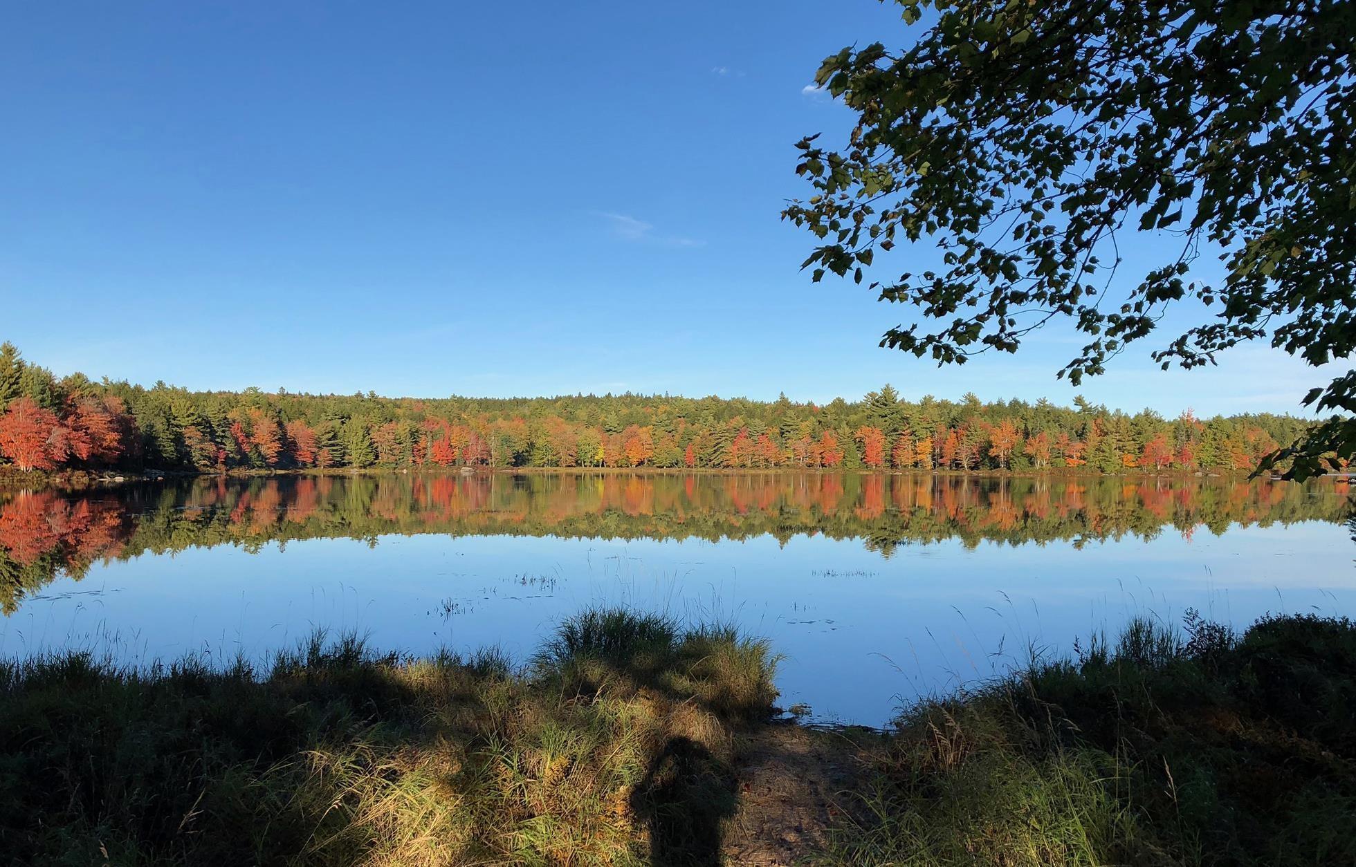 $349,900.00: Lot 17 1083 Sand Cove Road, Westfield
