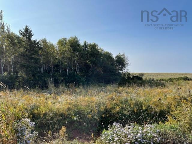 $89,000.00: Lot 20 Beach Chair Lane, Pugwash