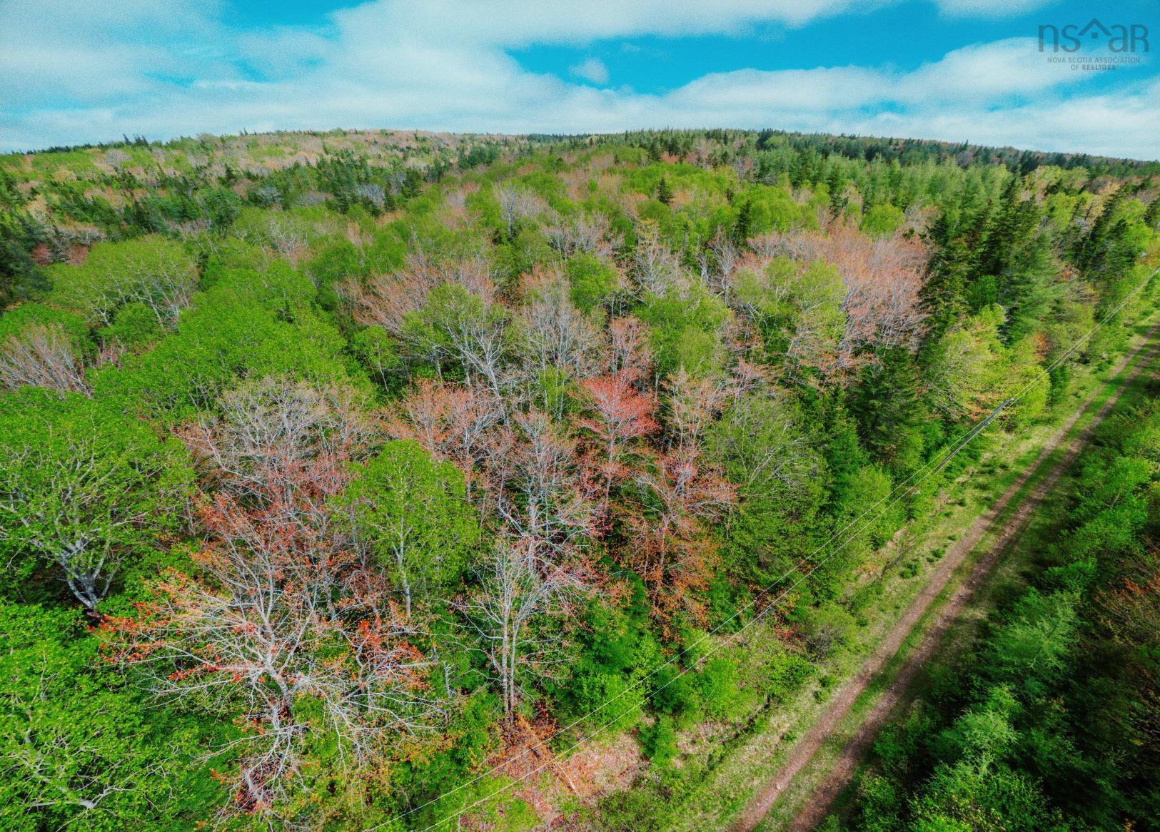$25,000.00: Lot 09-3 Hillsdale Road, Hillside