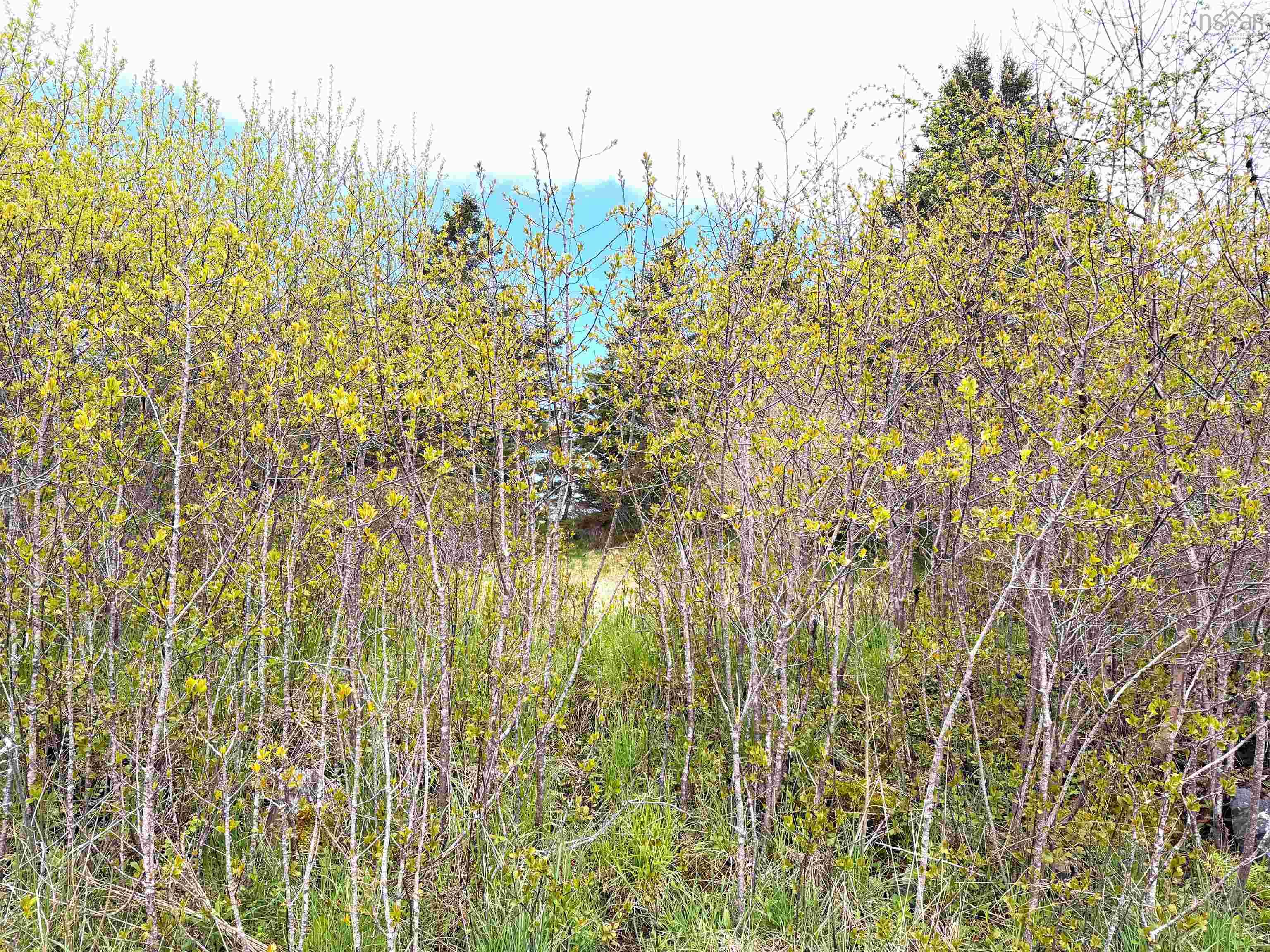 $85,000.00: Lot 5, Lakeside Road, Dayton