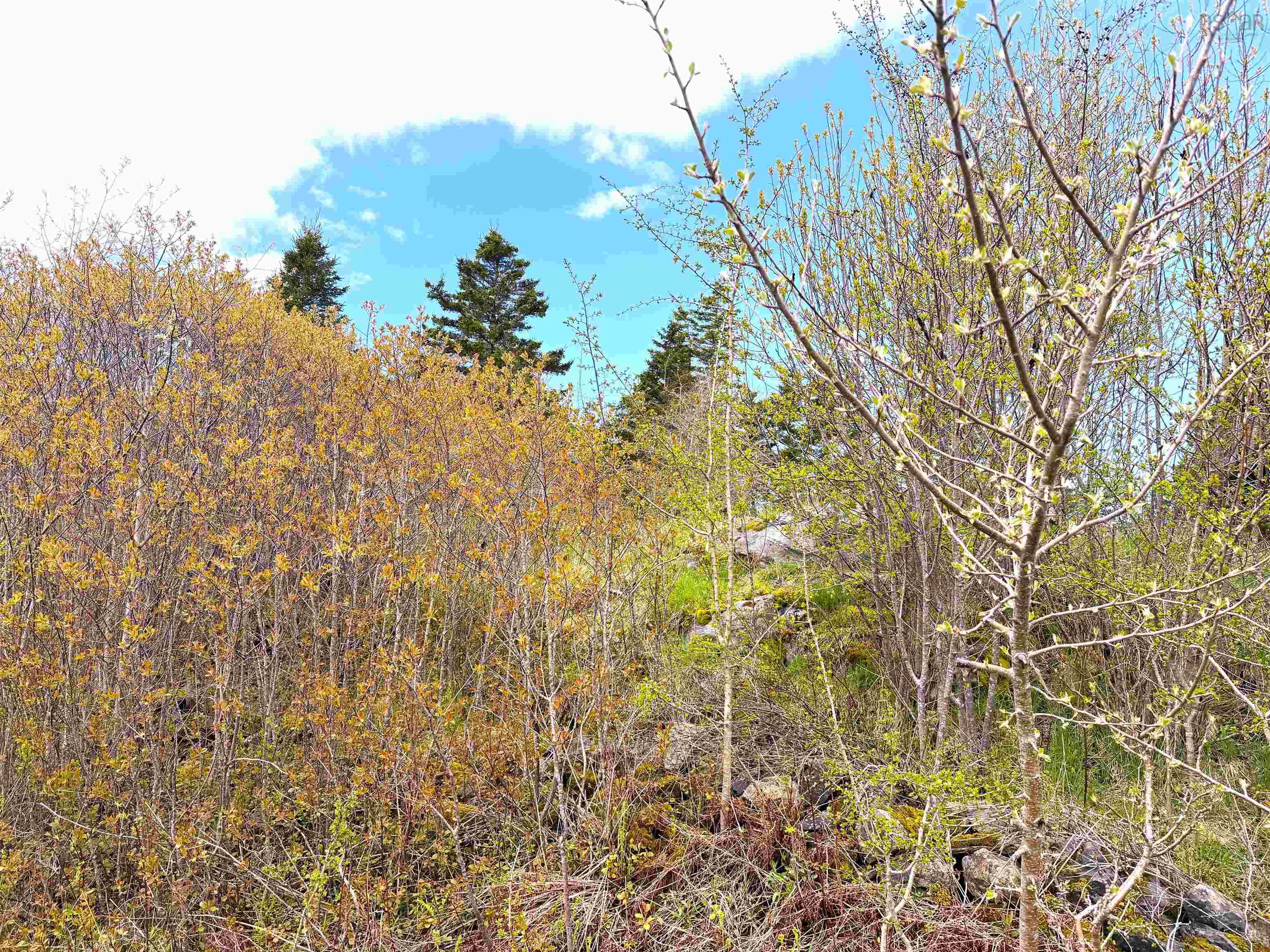 $85,000.00: Lot 5, Lakeside Road, Dayton