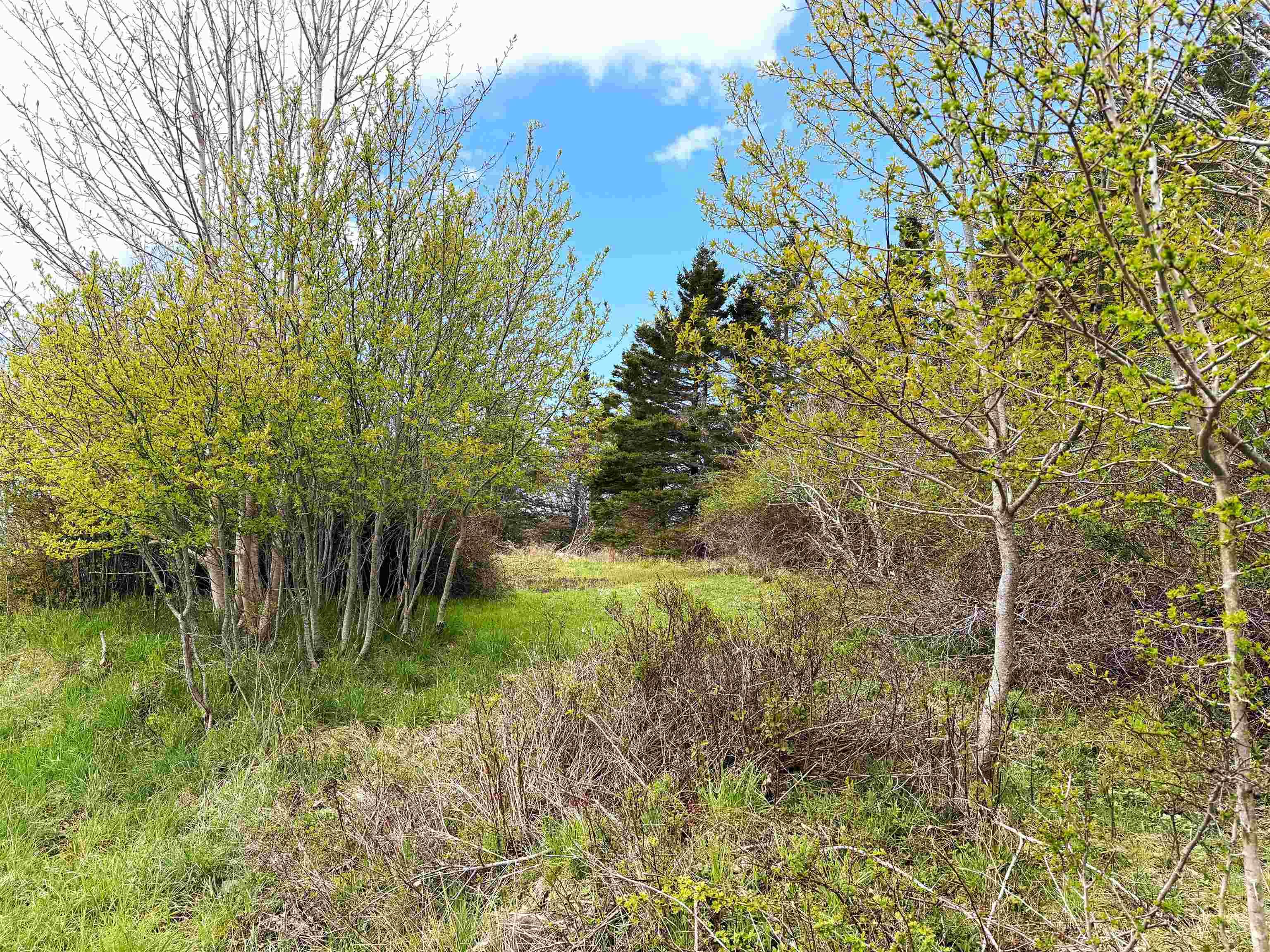 $85,000.00: Lot 5, Lakeside Road, Dayton