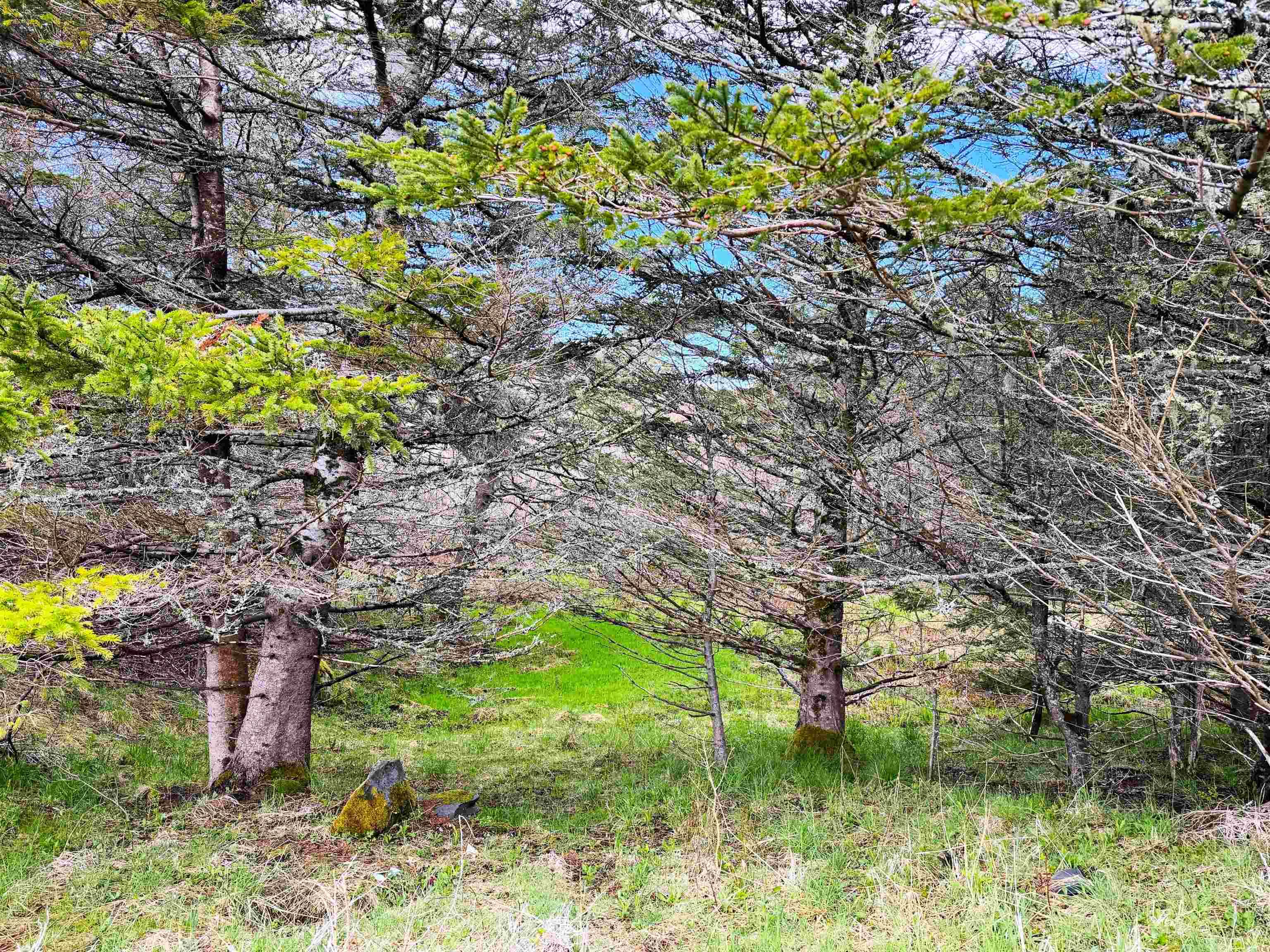$85,000.00: Lot 5, Lakeside Road, Dayton