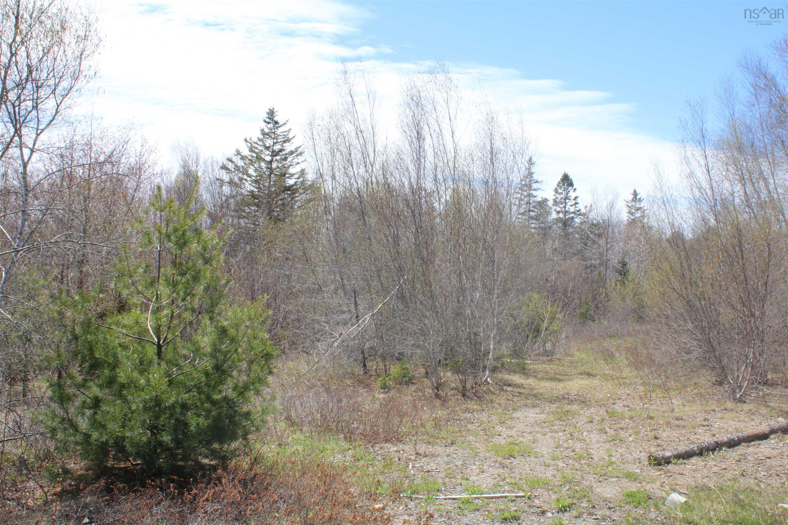 $39,000.00: Lot 1 Mary Jane Riley Road, Waldeck