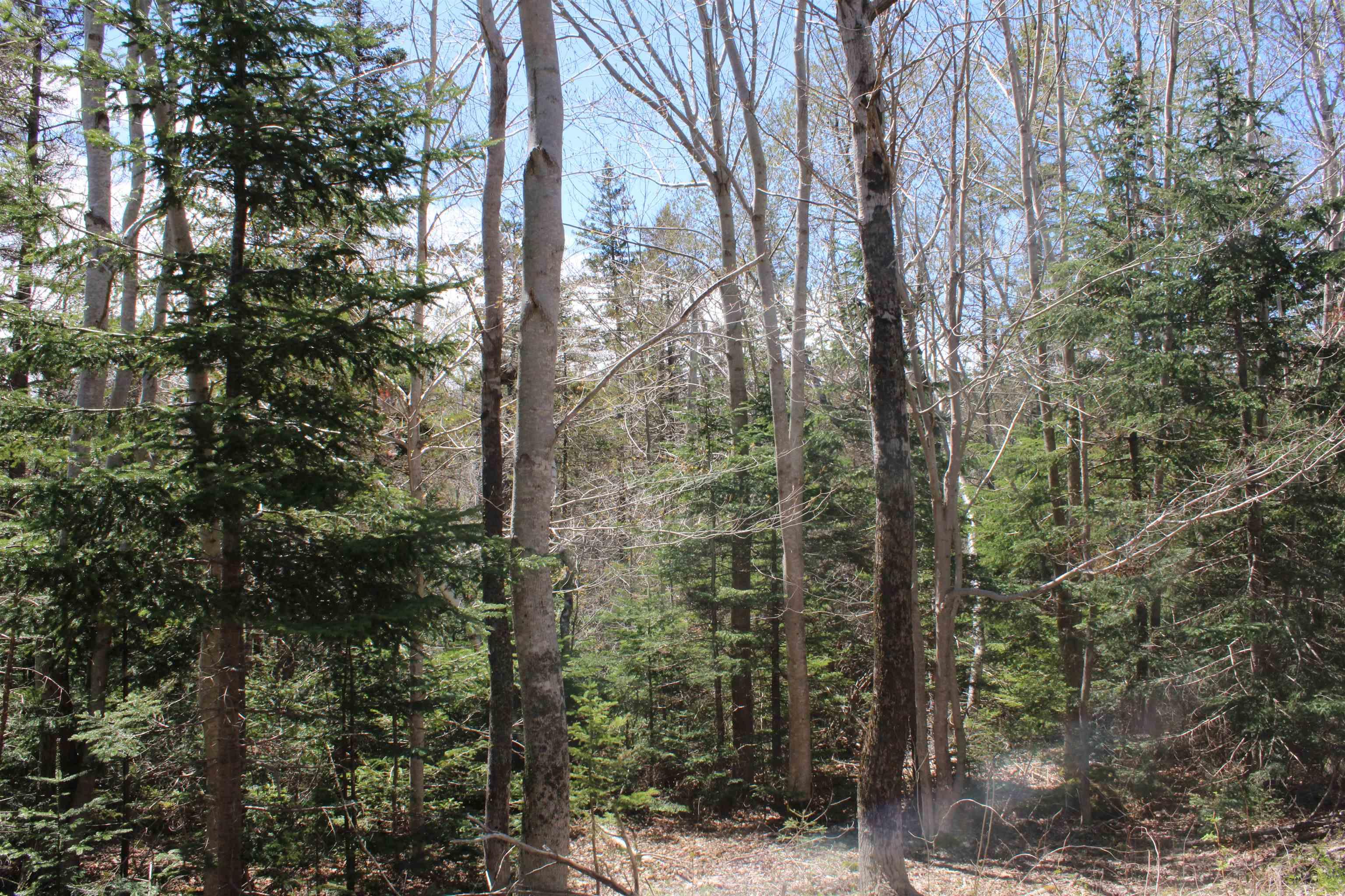 $39,000.00: Lot 1 Mary Jane Riley Road, Waldeck