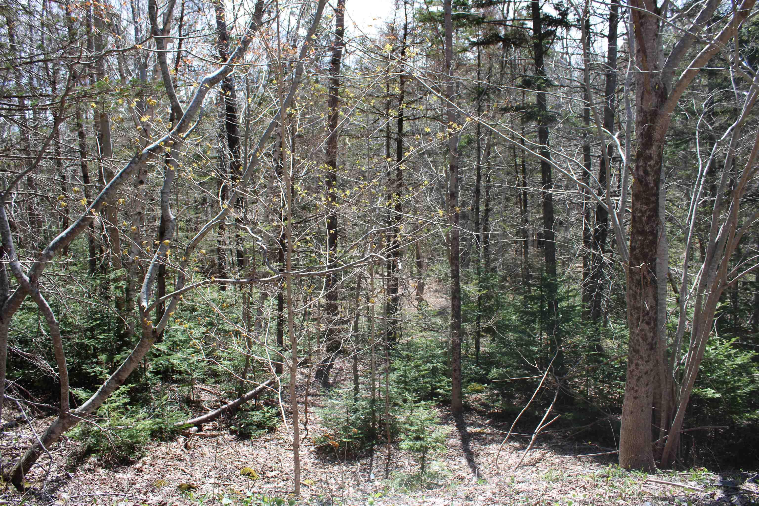 $39,000.00: Lot 1 Mary Jane Riley Road, Waldeck