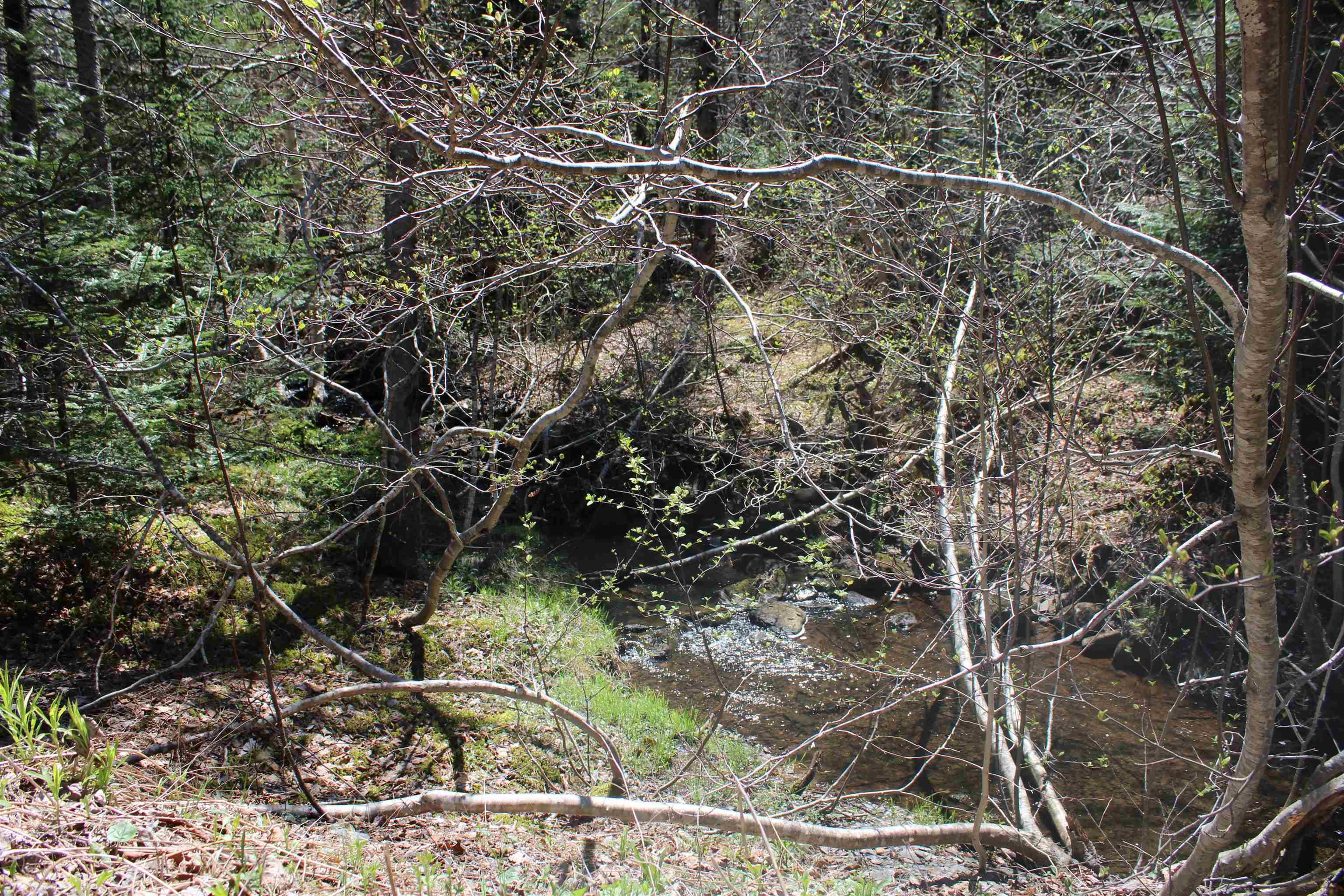 $39,000.00: Lot 1 Mary Jane Riley Road, Waldeck