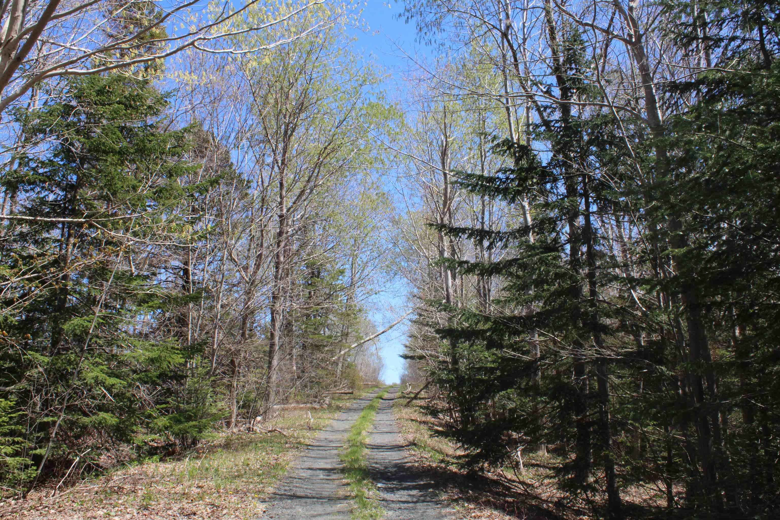 $39,000.00: Lot 1 Mary Jane Riley Road, Waldeck