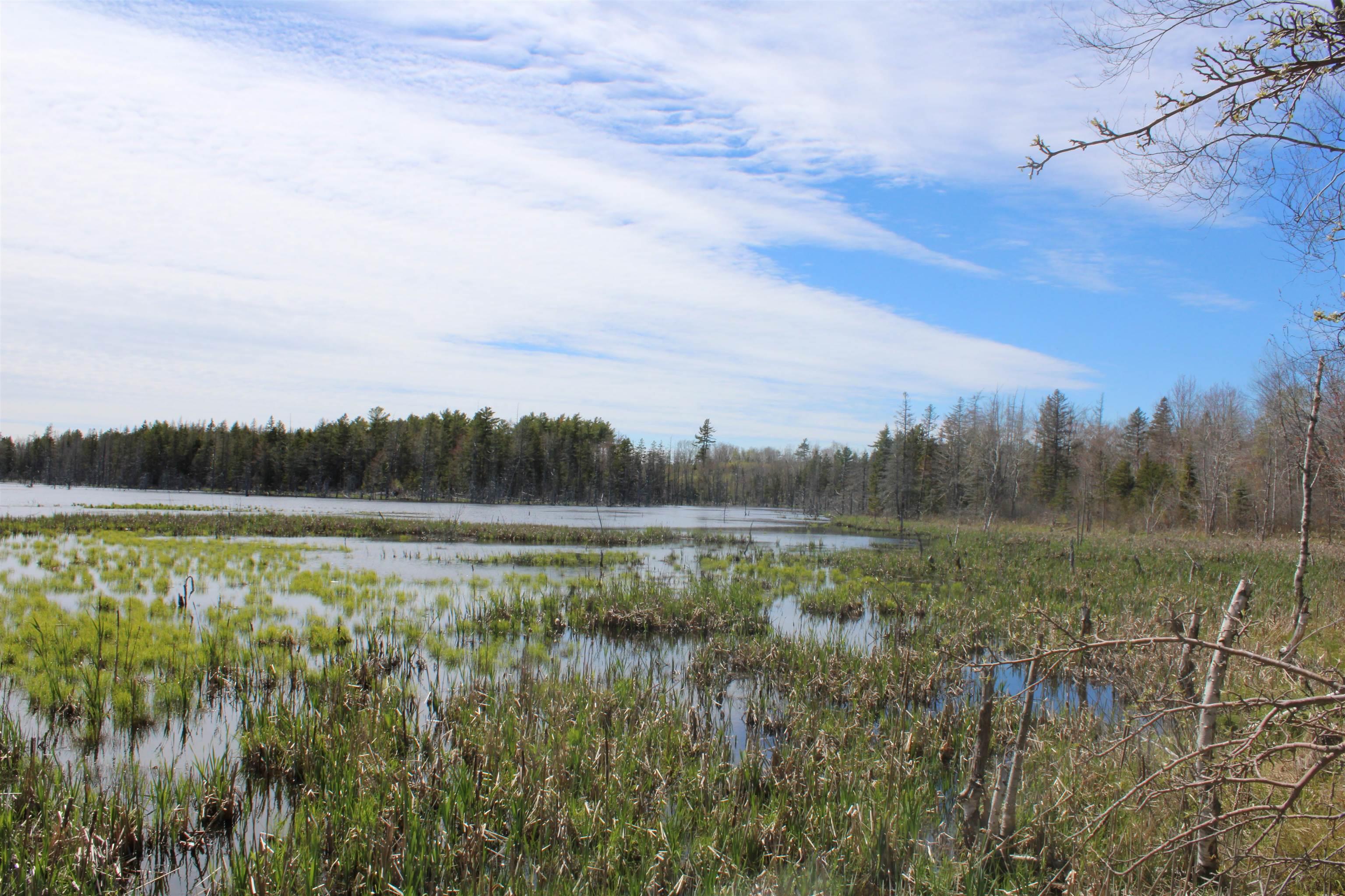 $39,000.00: Lot 1 Mary Jane Riley Road, Waldeck