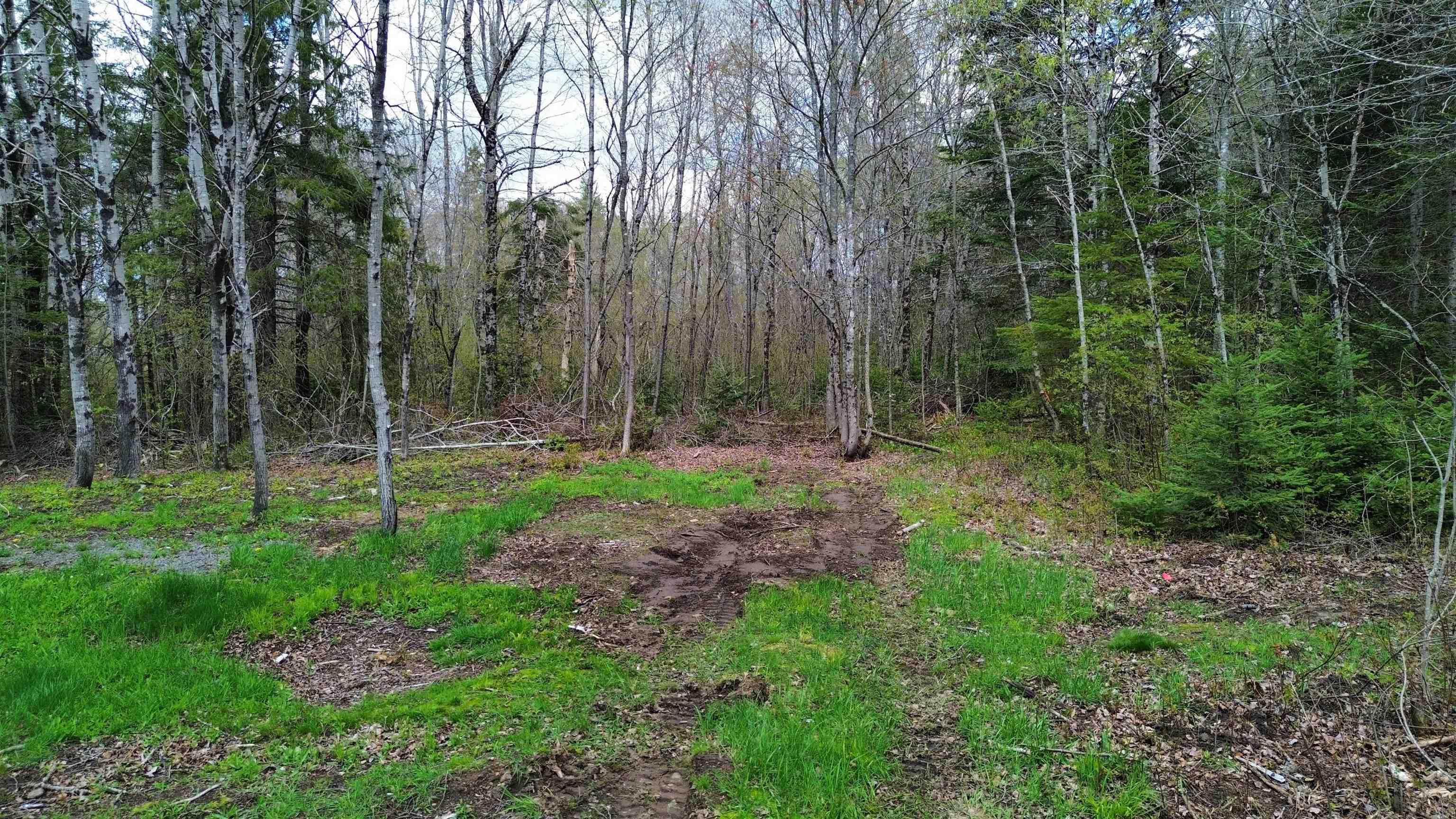 $39,900.00: 58 Mic Mac Road, Springhill Junction