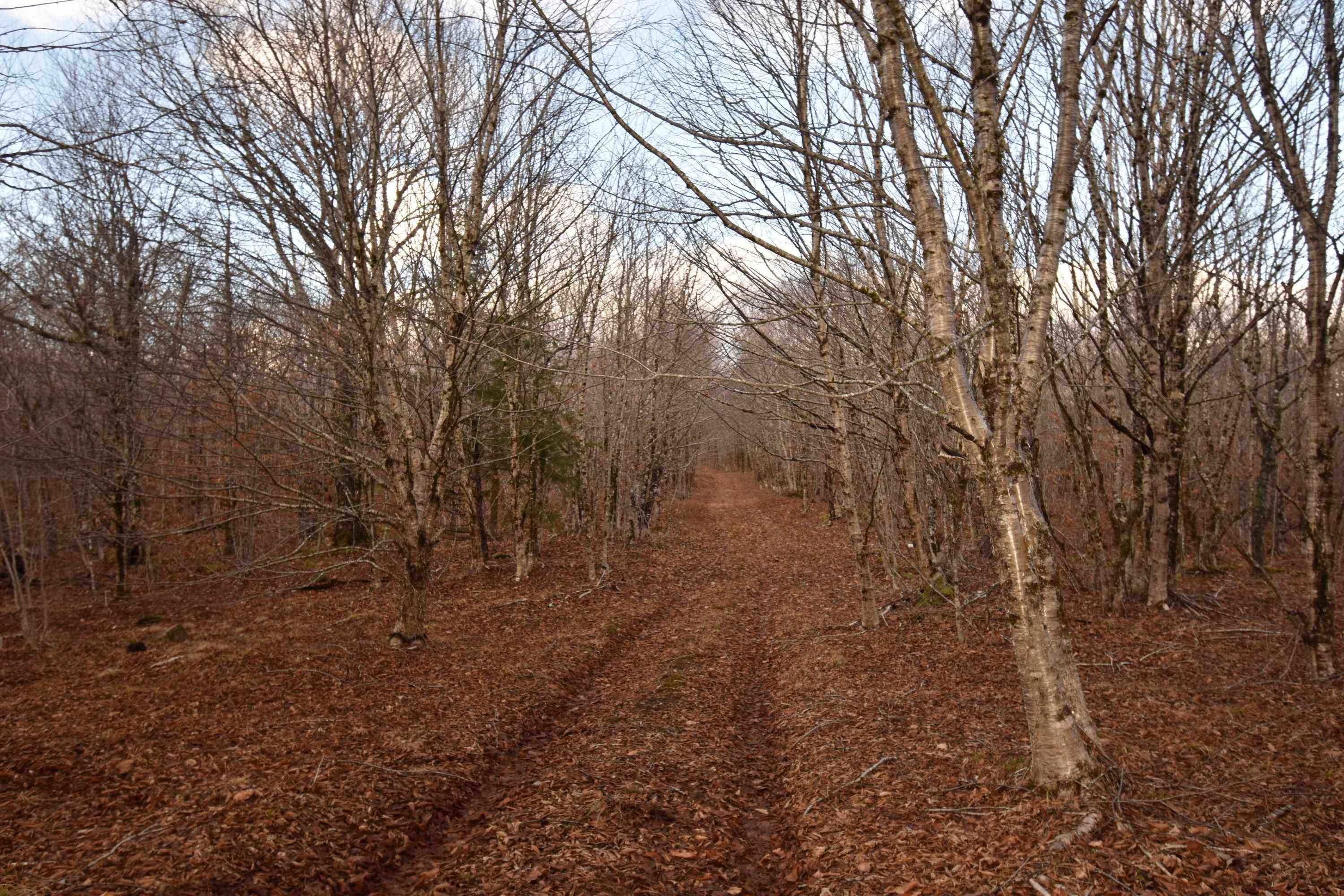 $69,000.00: 68B 320 NUTTBY ACRES Road, Upper North River
