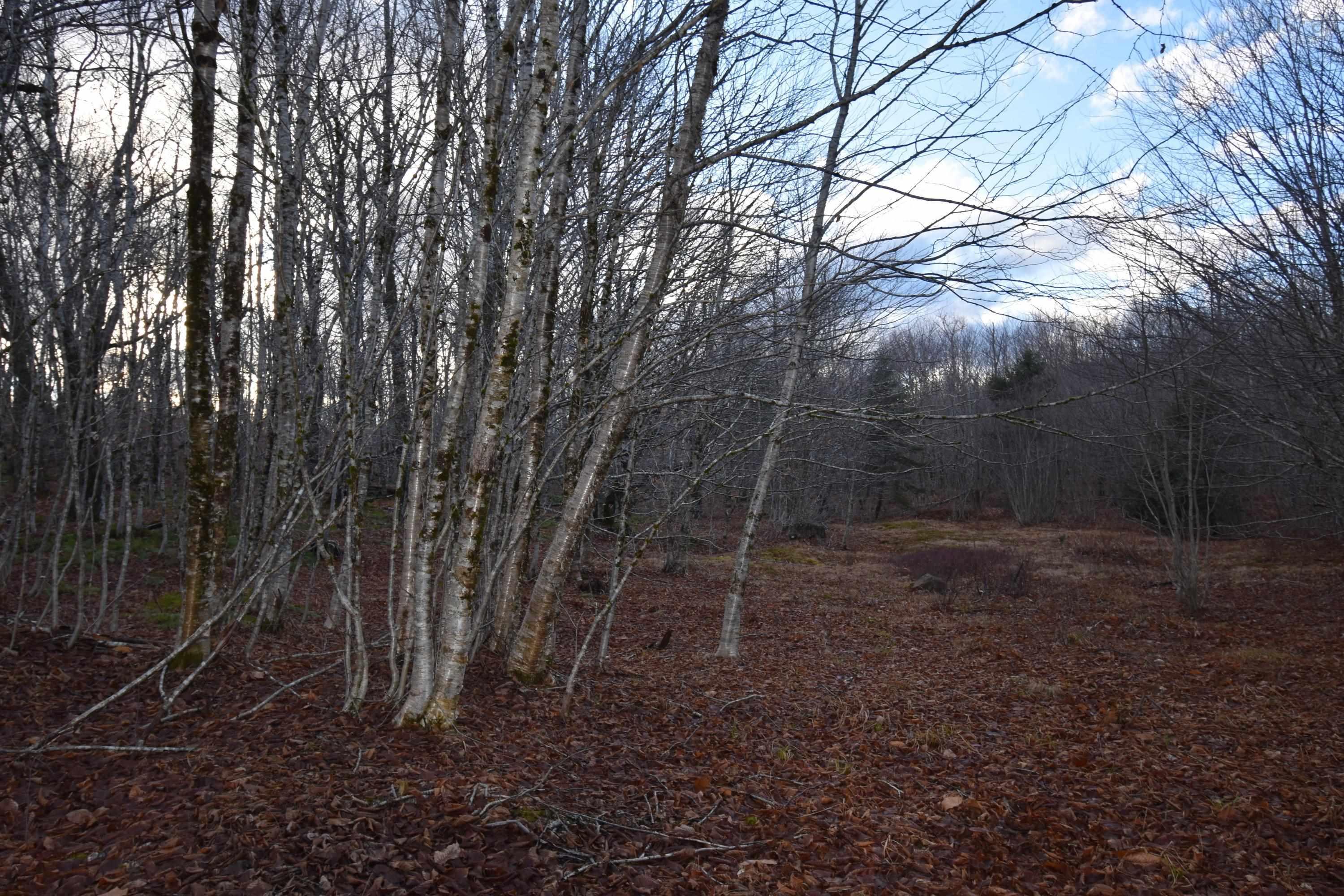 $69,000.00: 68B 320 NUTTBY ACRES Road, Upper North River