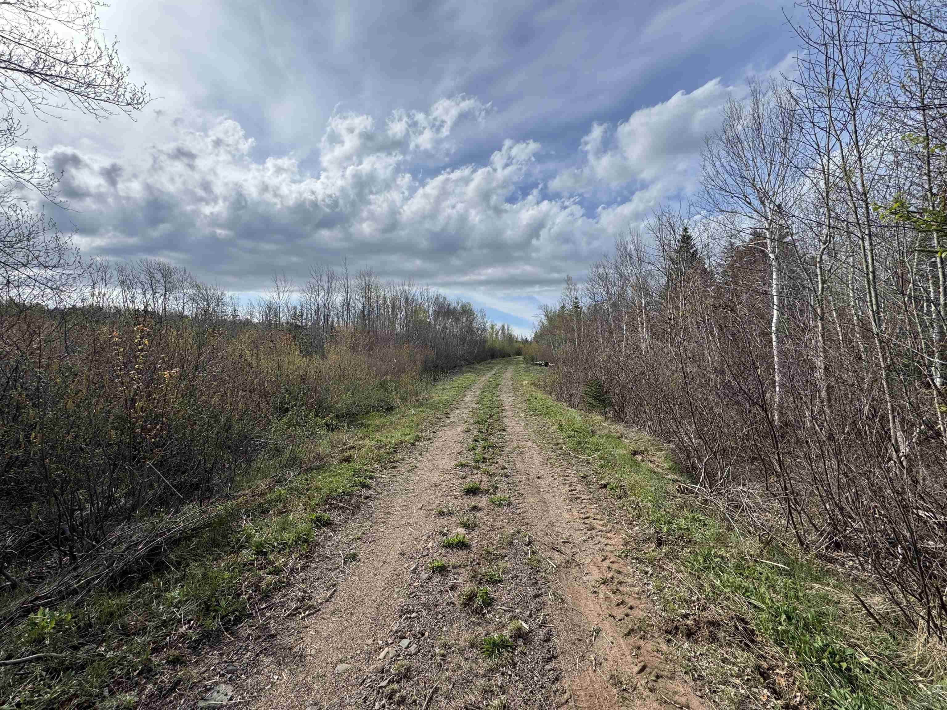 $225,000.00: Shore Road W, Hillsburn