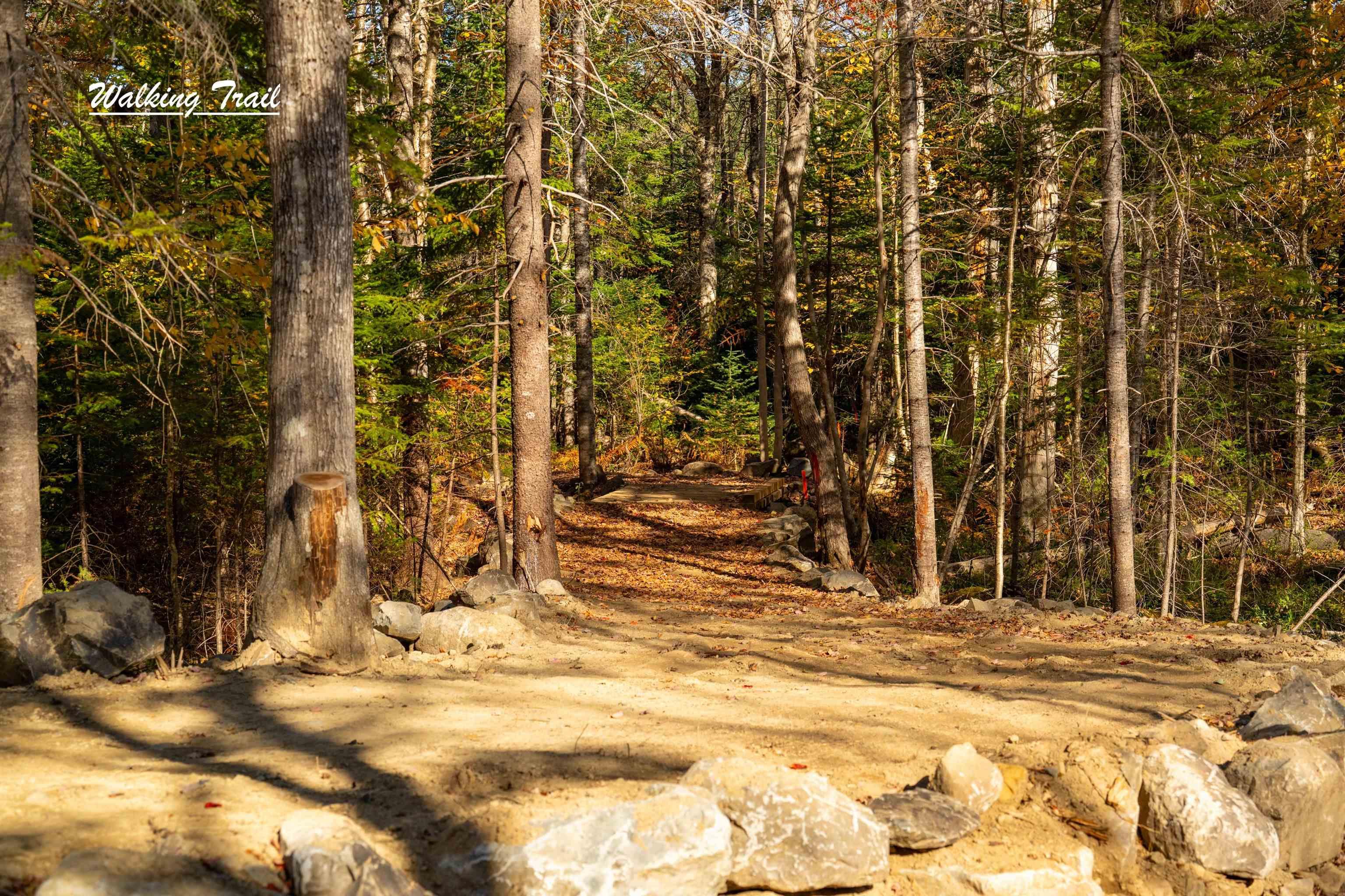 $80,000.00: Lot 1 Whitetail Drive, Chester Basin