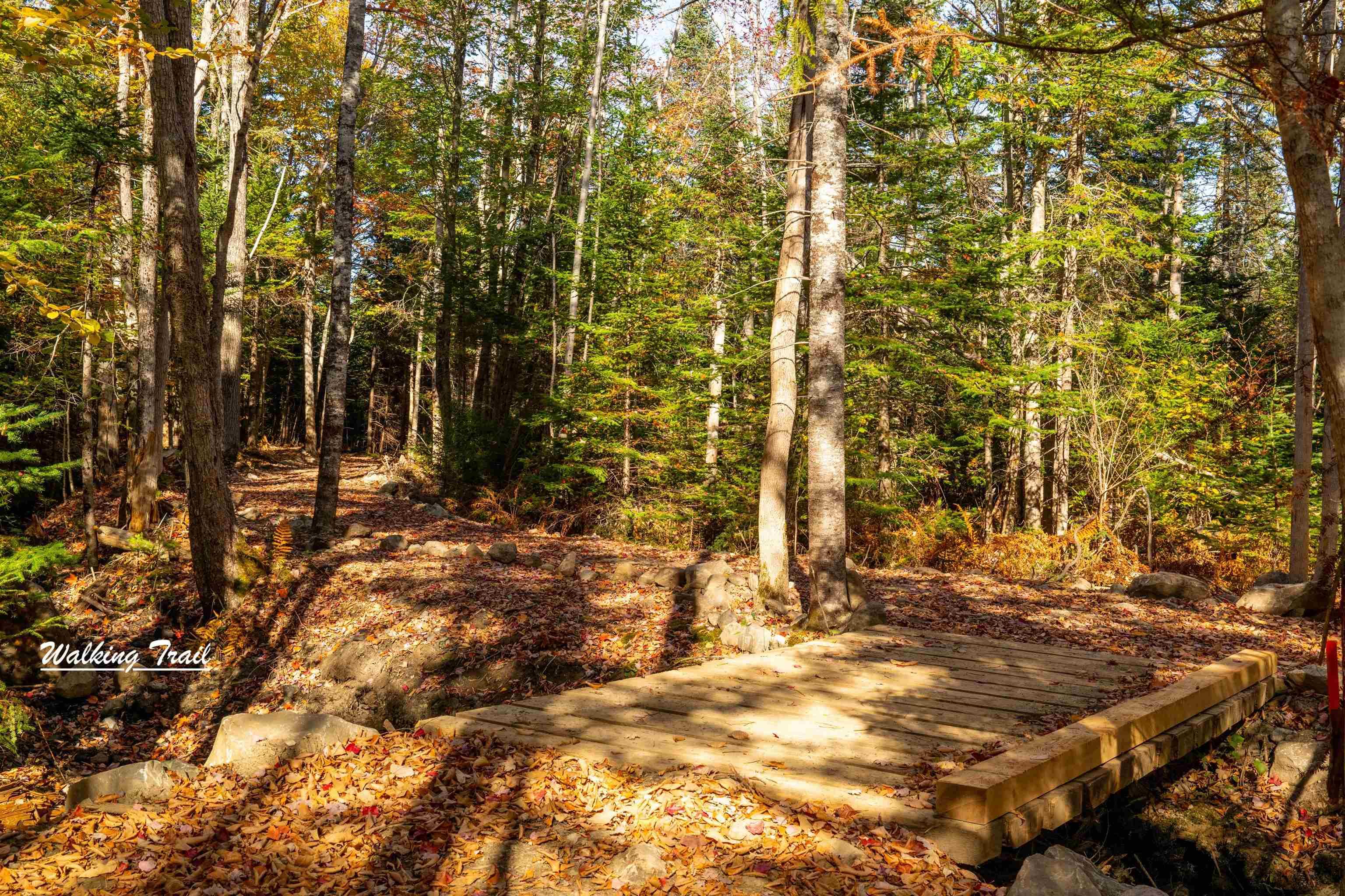 $80,000.00: Lot 2 Whitetail Drive, Chester Basin