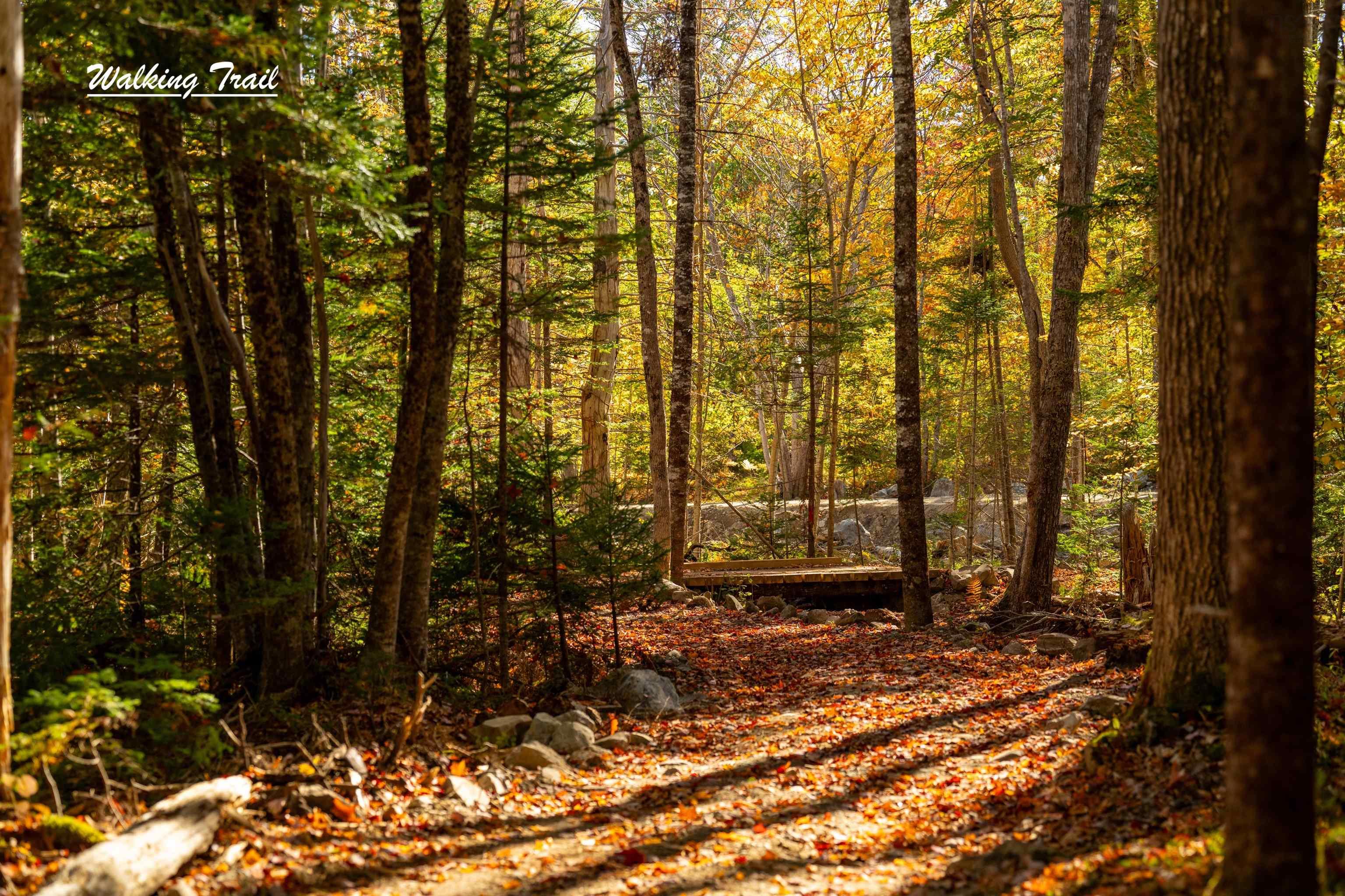 $85,000.00: Lot 3 Whitetail Drive, Chester Basin