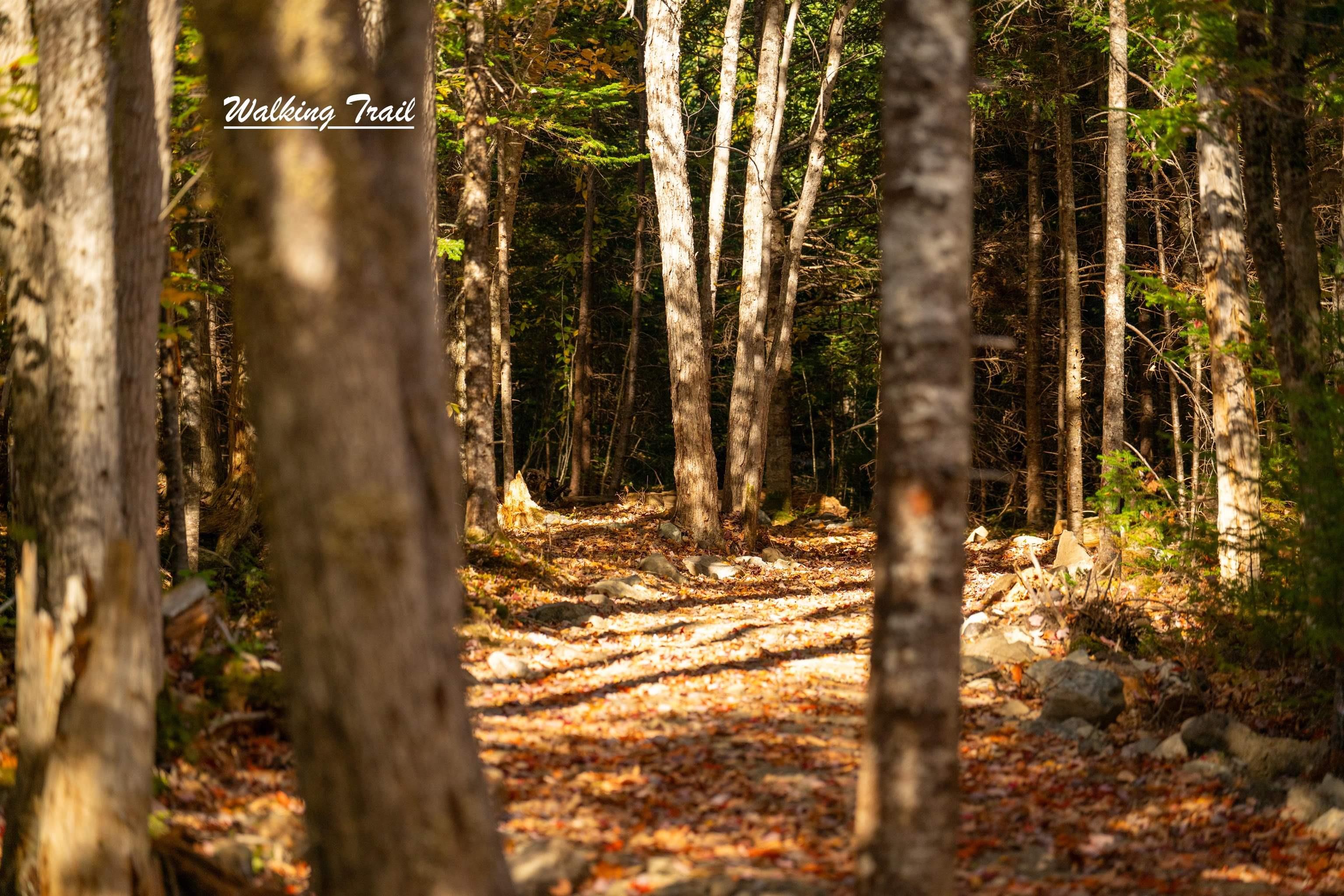 $85,000.00: Lot 3 Whitetail Drive, Chester Basin