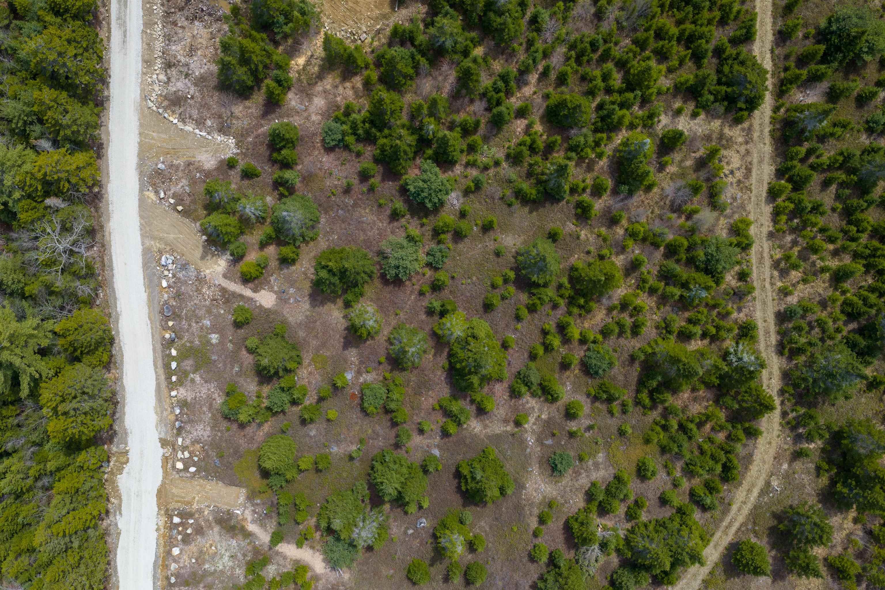 $60,000.00: Lot 5 Whitetail Drive, Chester Basin