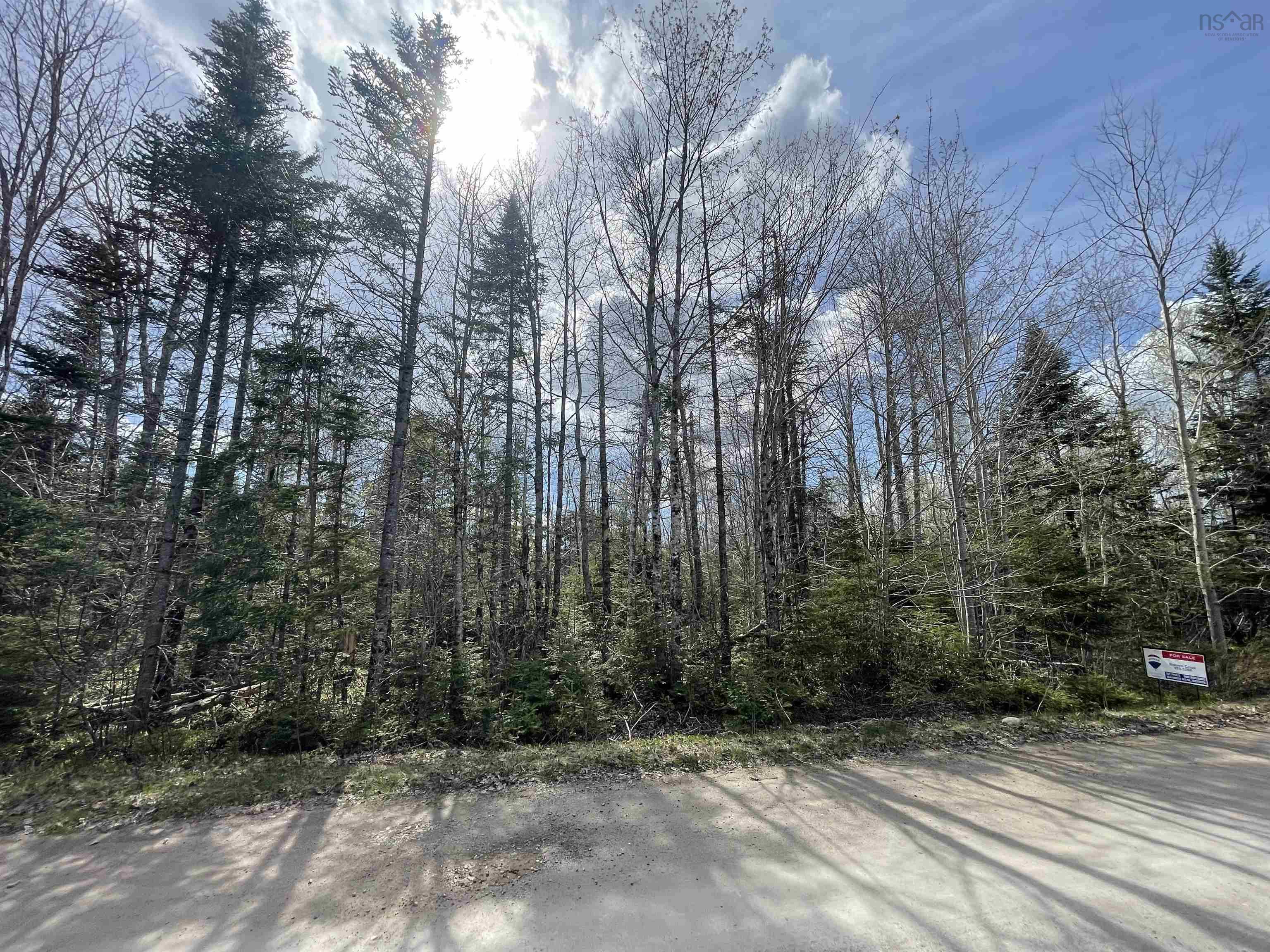 $15,000.00: Lot 11B Evergreen Rise, New Russell