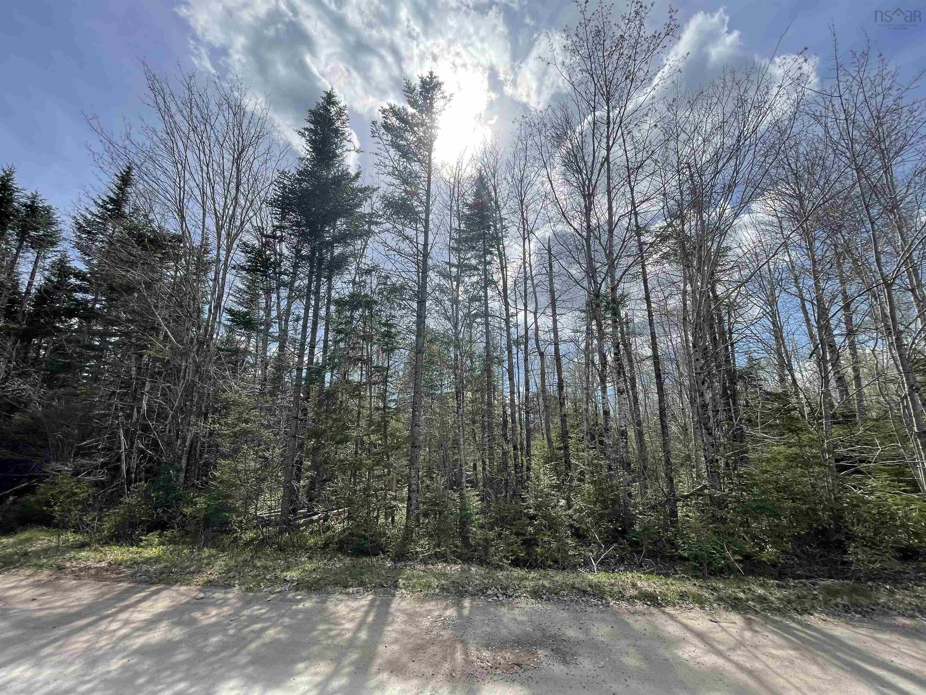 $15,000.00: Lot 11B Evergreen Rise, New Russell