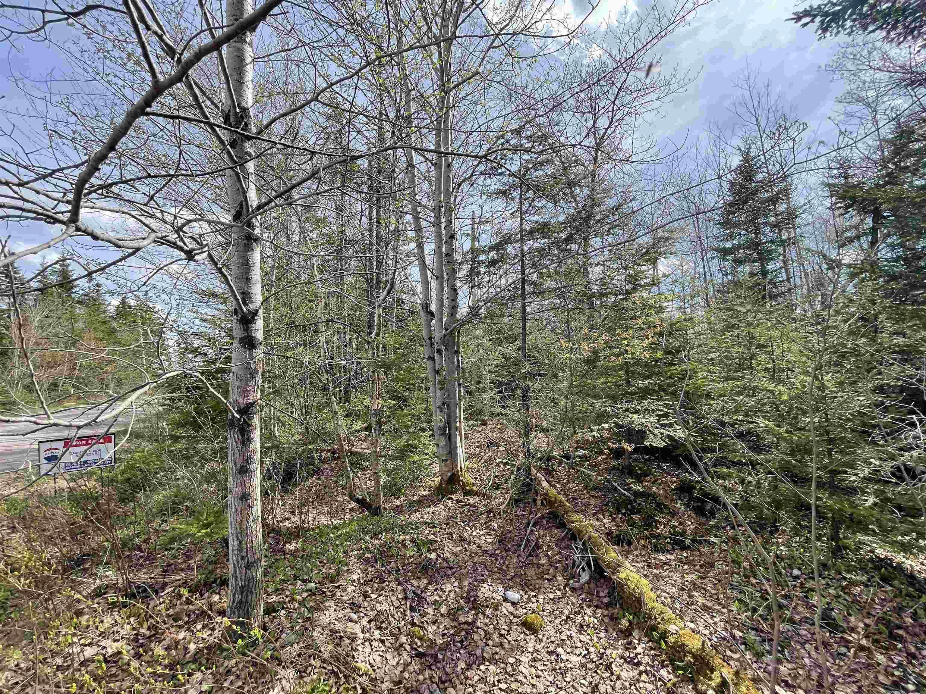 $15,000.00: Lot 11B Evergreen Rise, New Russell
