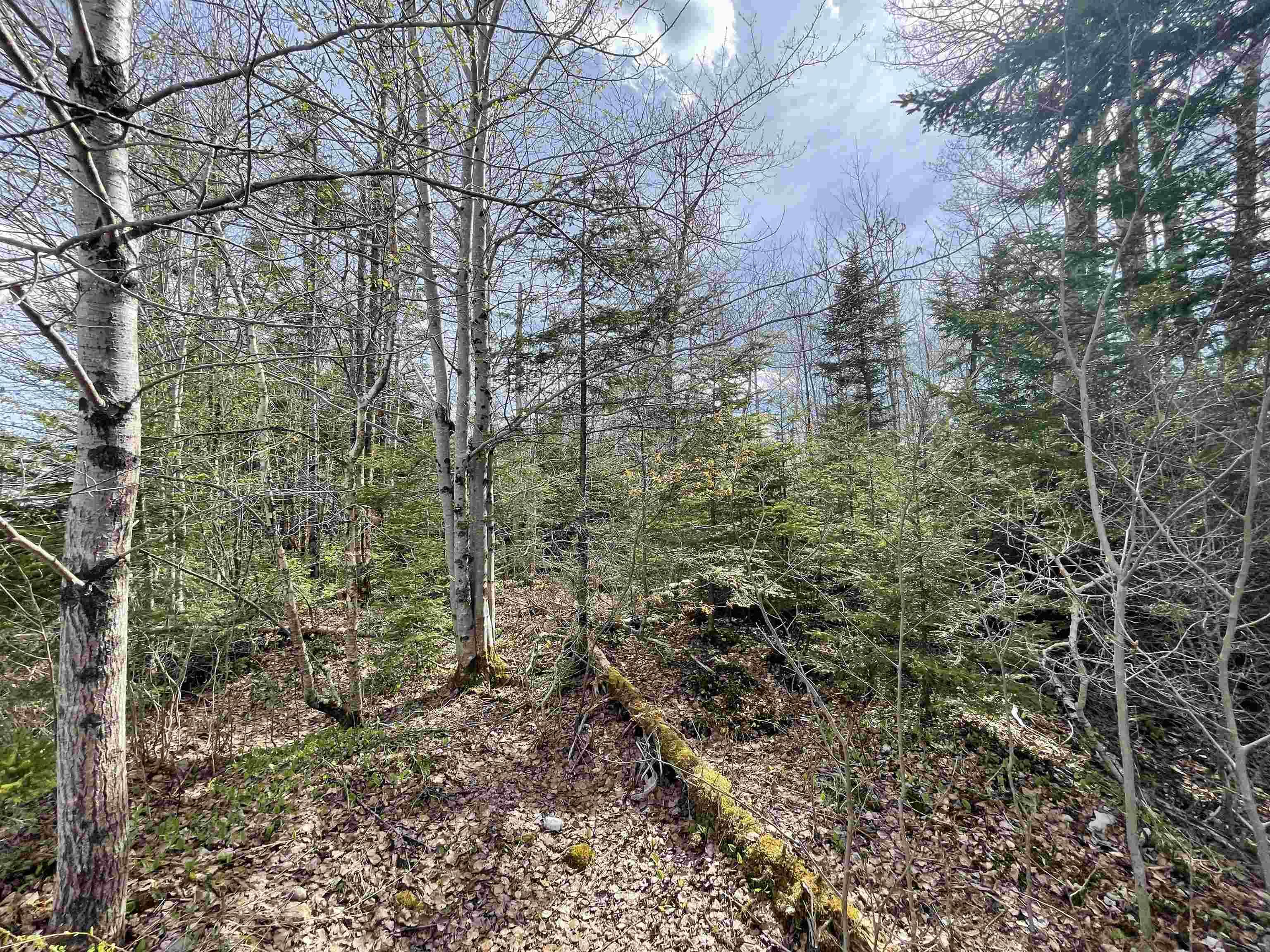 $15,000.00: Lot 11B Evergreen Rise, New Russell