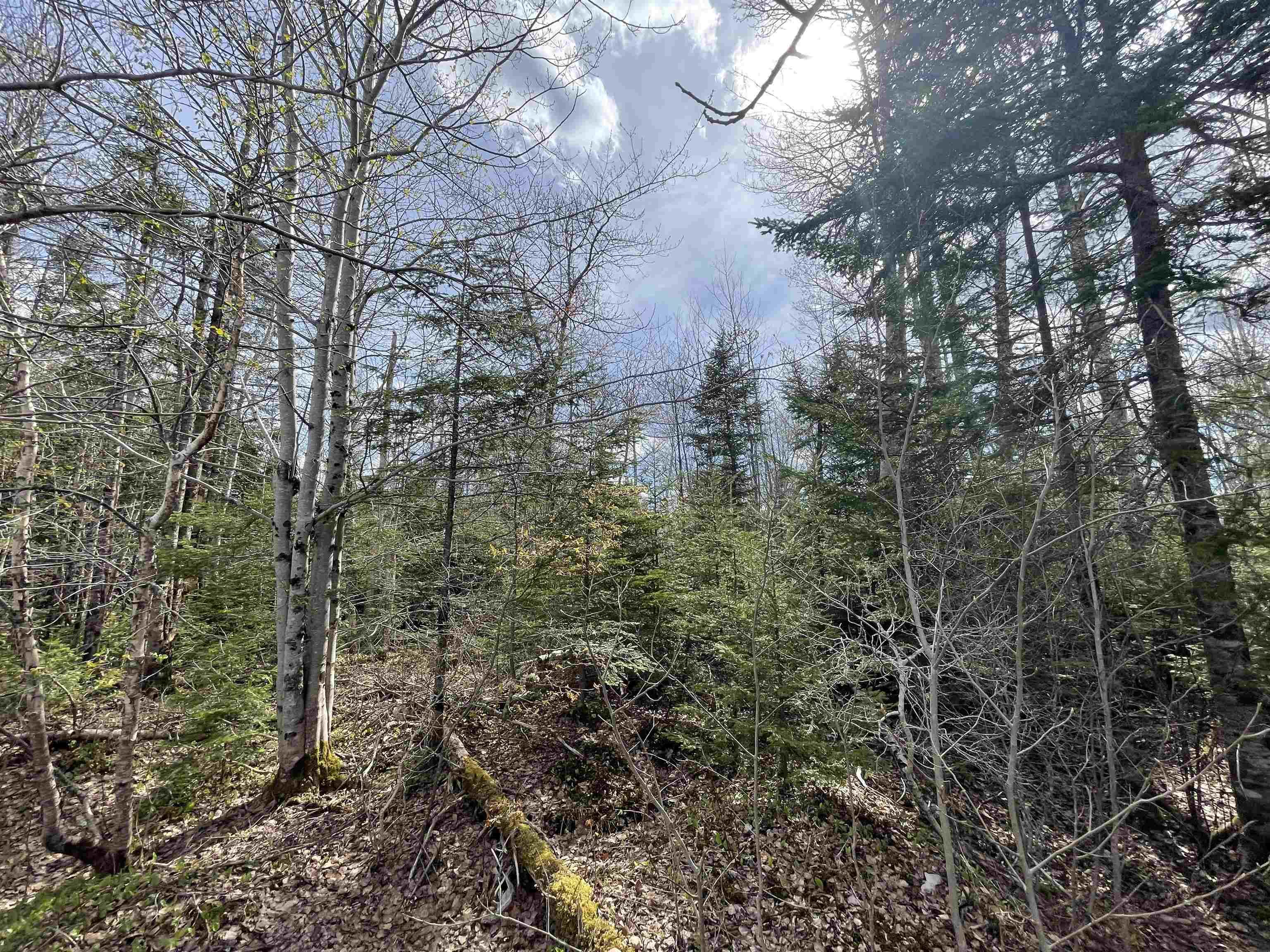 $15,000.00: Lot 11B Evergreen Rise, New Russell