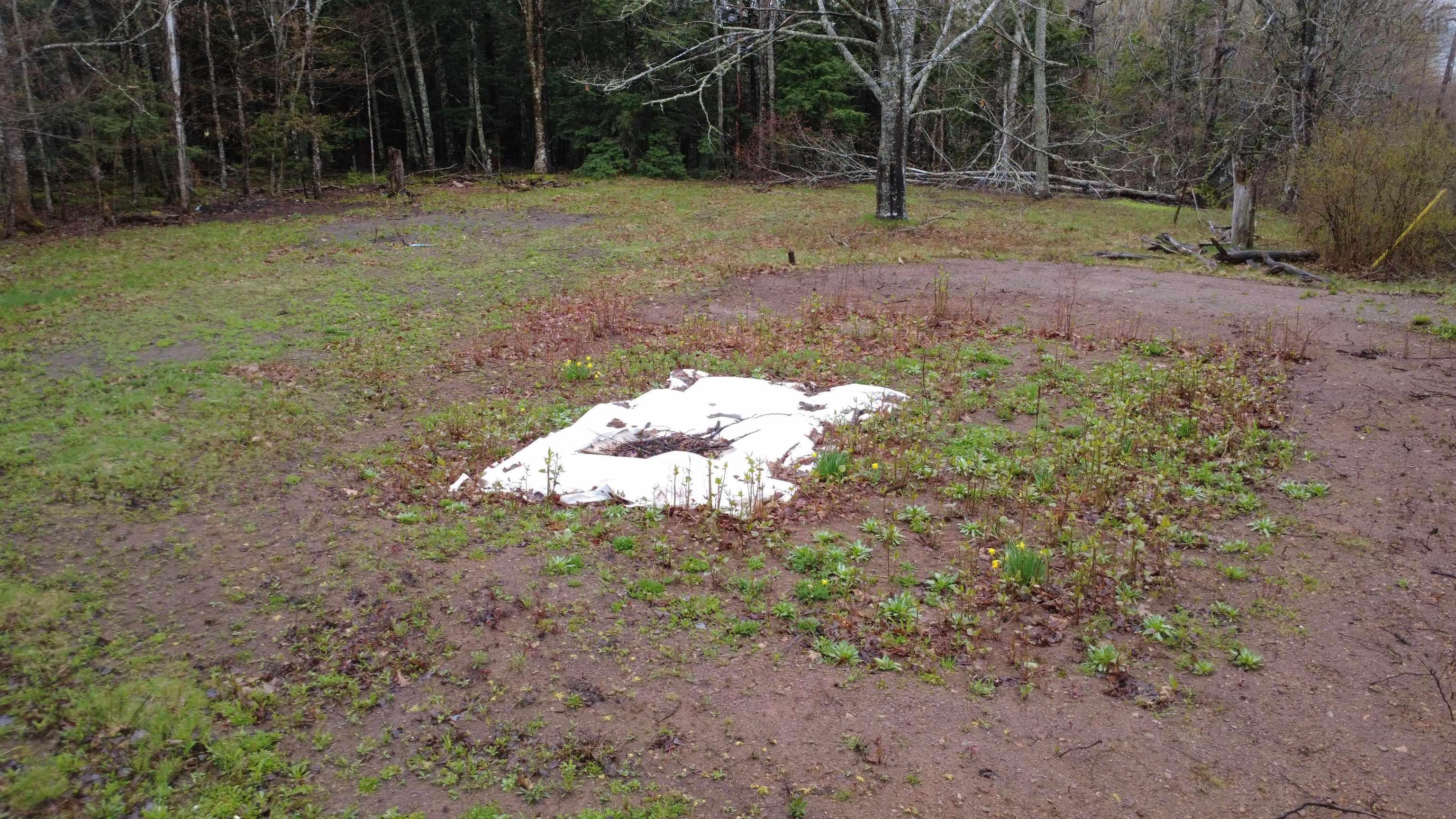 $55,000.00: Lot 142 Condon Road, Scotsburn