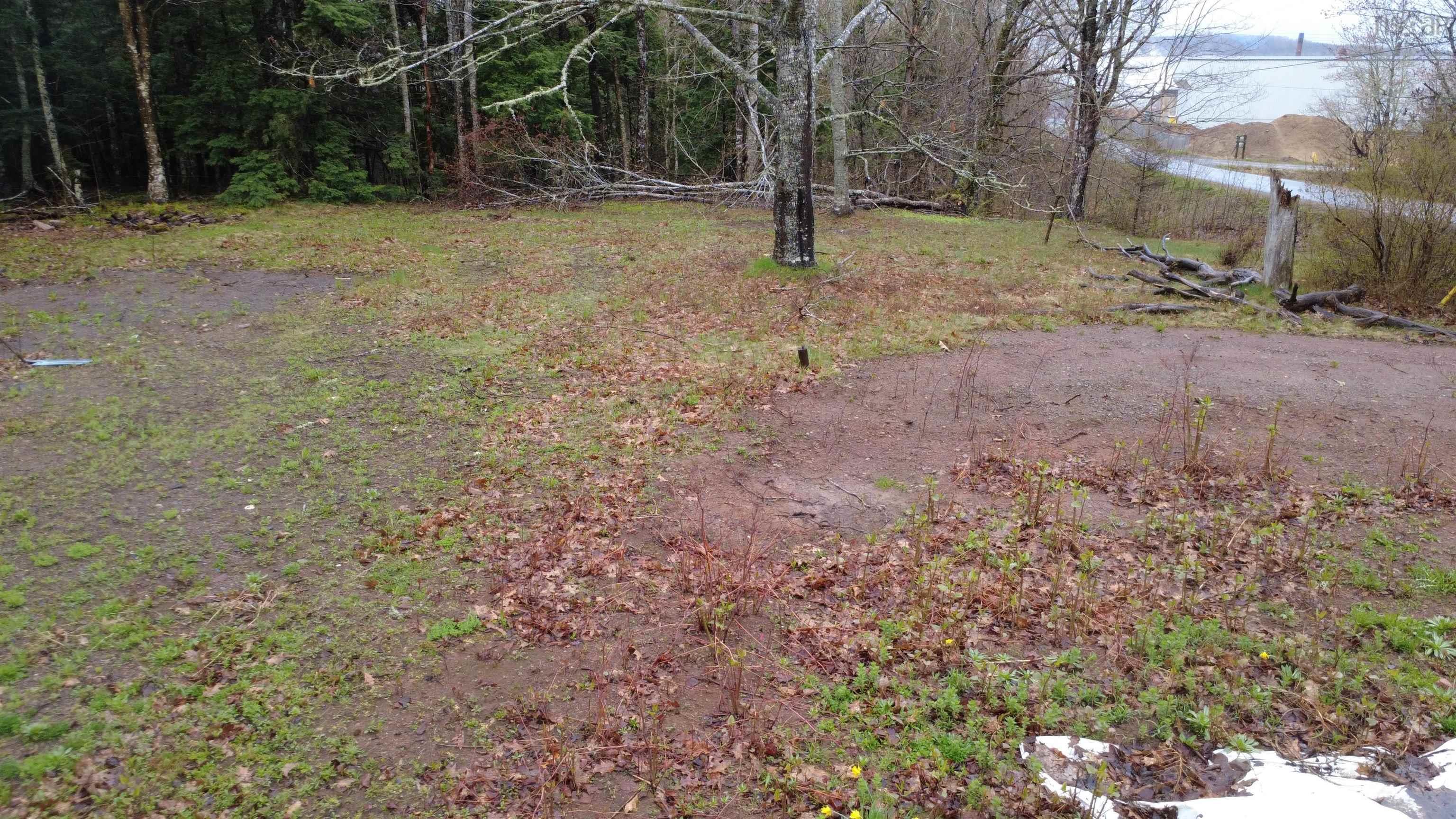 $55,000.00: Lot 142 Condon Road, Scotsburn