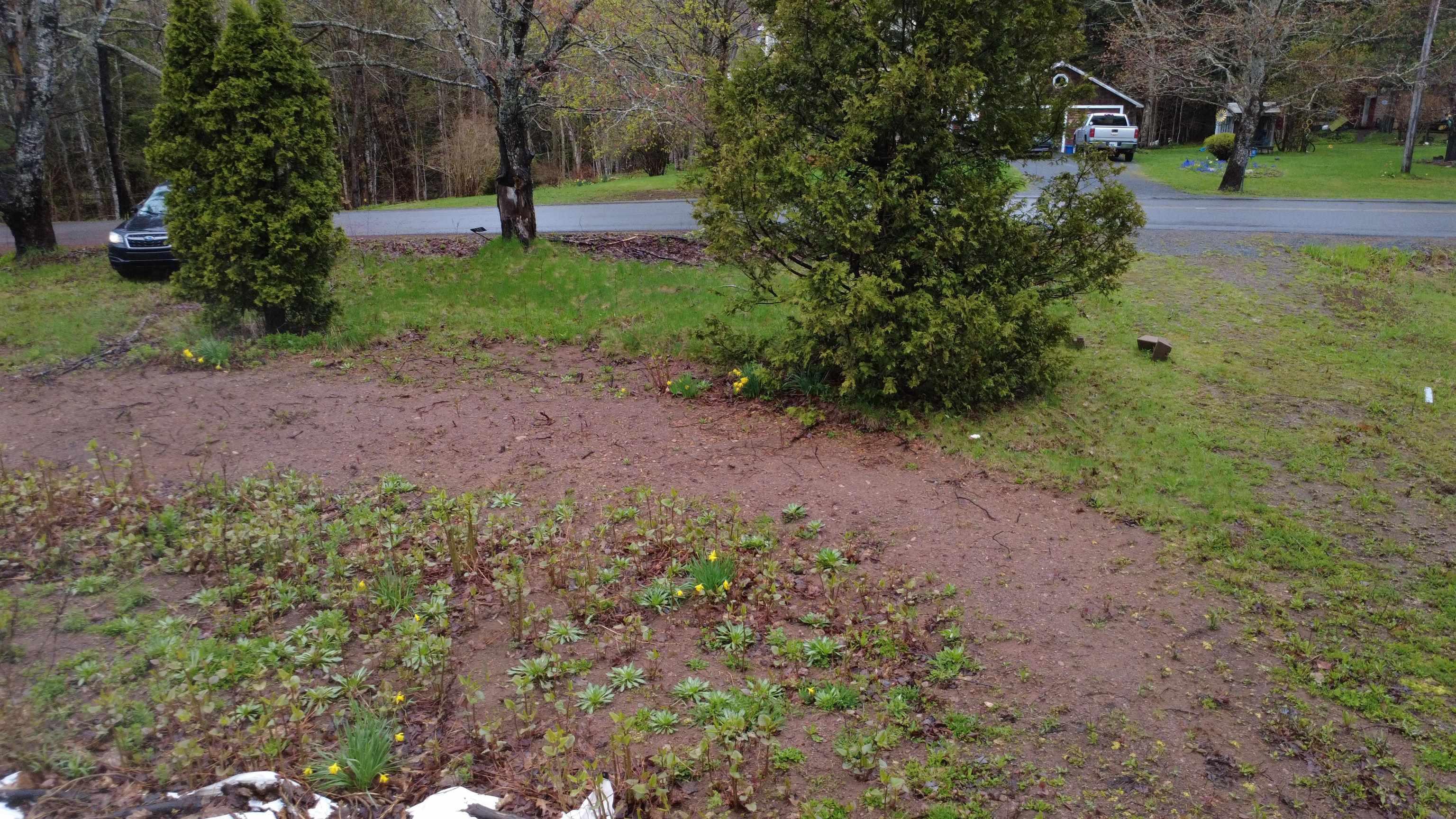 $55,000.00: Lot 142 Condon Road, Scotsburn